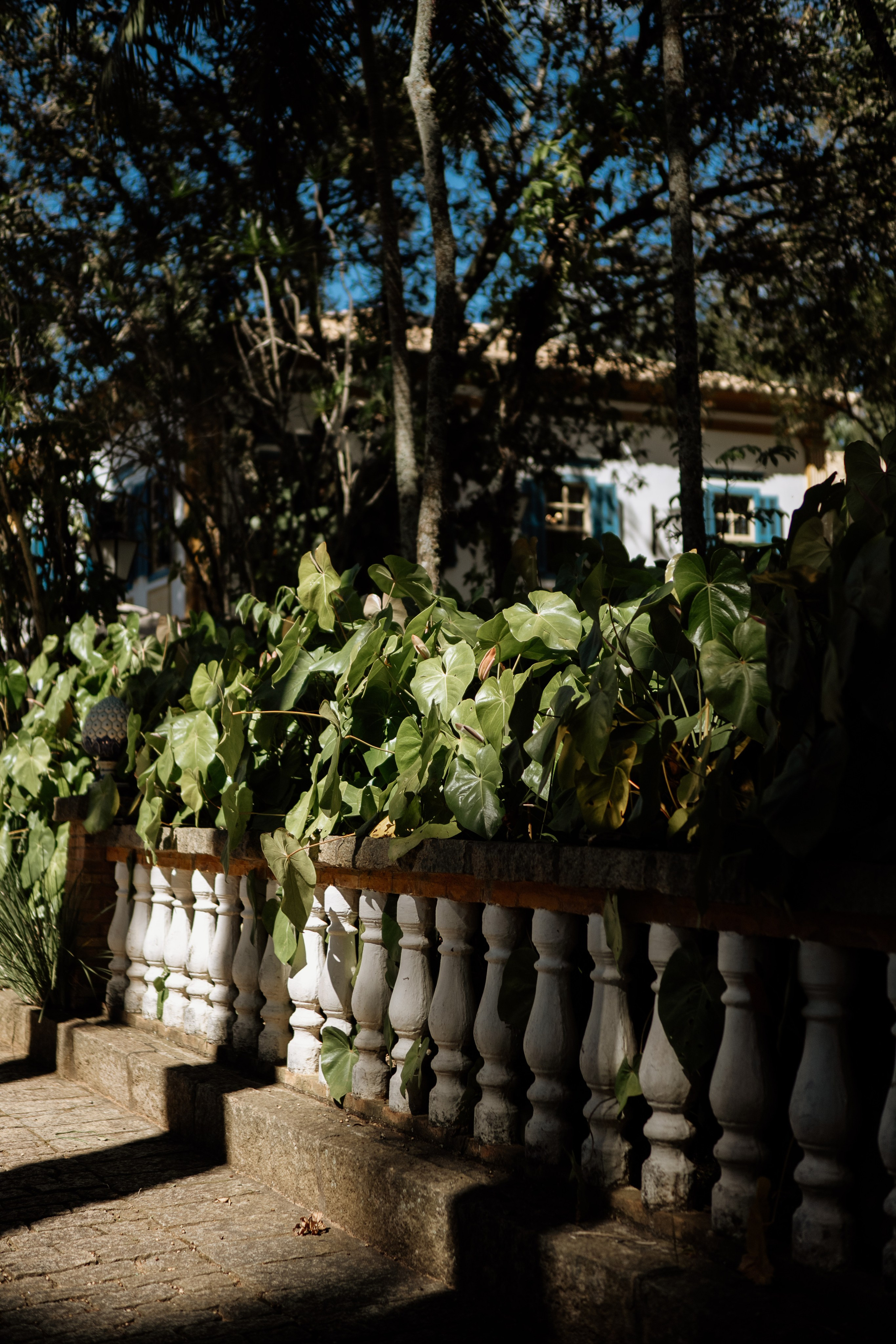 Johanna & Felipe. Congiu Wedding