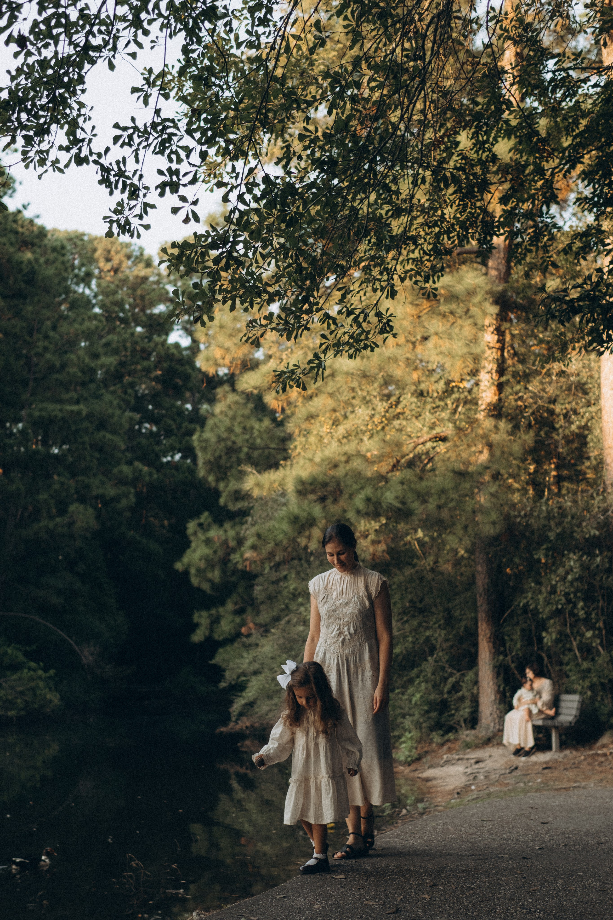 The Woodlands. Lens Captures Life