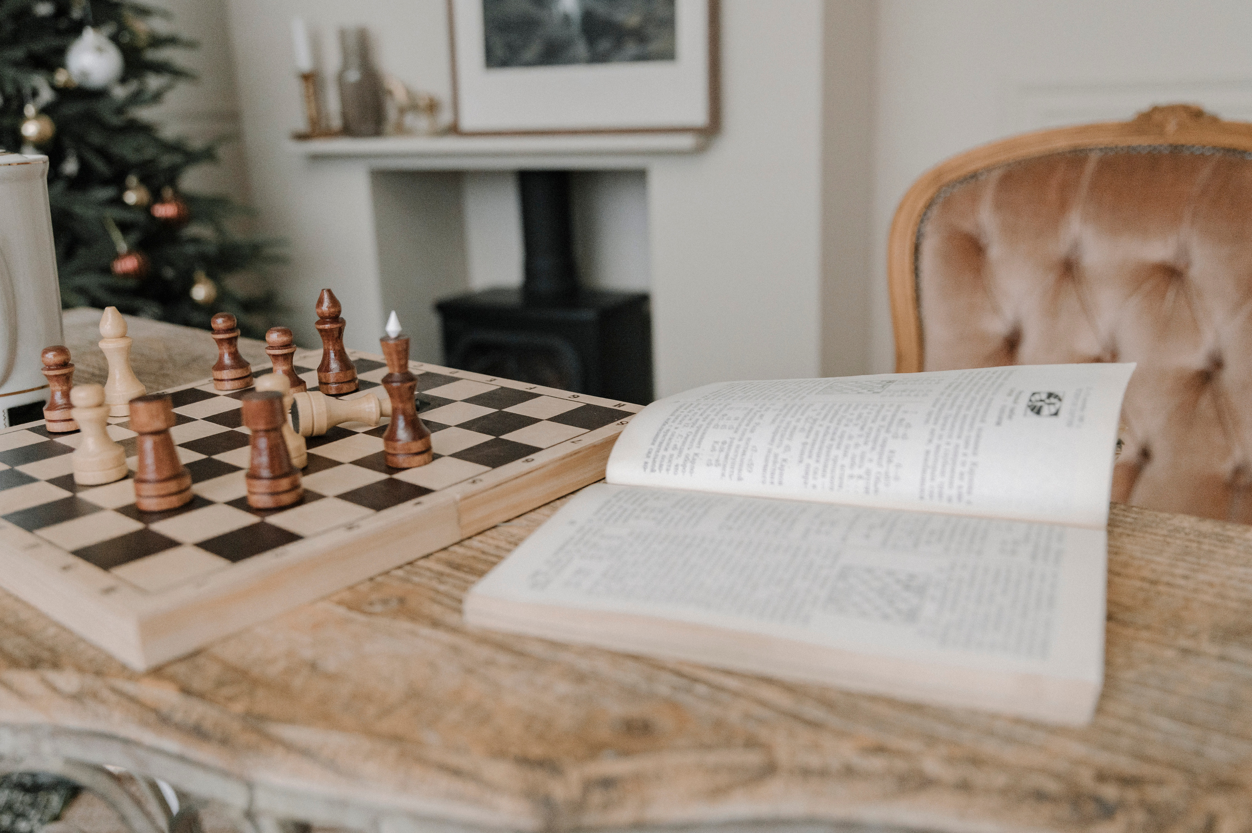 Ход Королевы. Фотограф в Кракове/Европе Вероника Стома