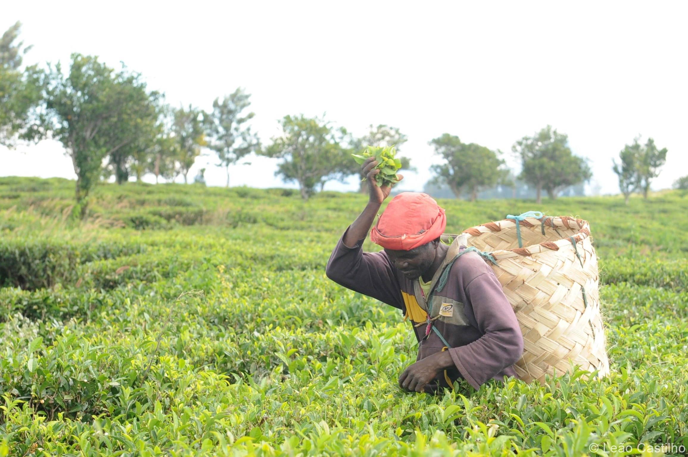 Photos from Mozambique people 2. Simbahalu