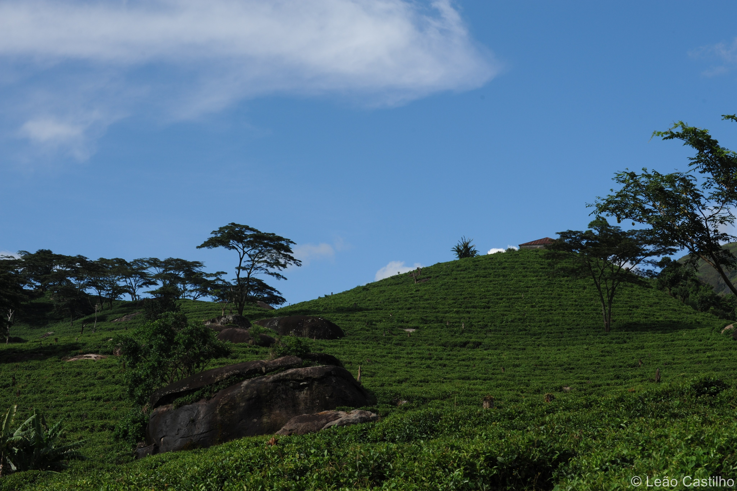 Photos from Mozambique. Simbahalu