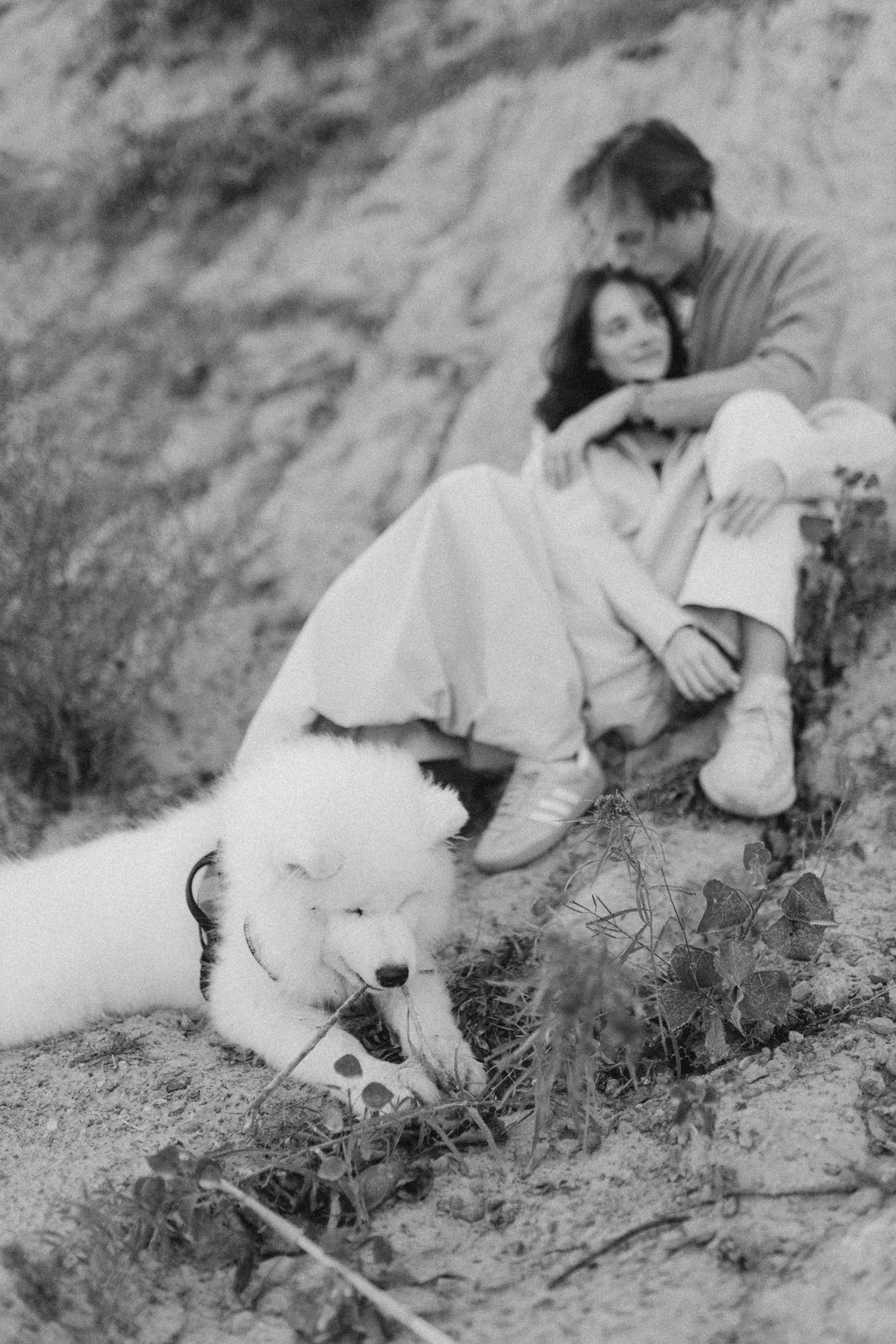 Adam & Maya. Chernenko.photography