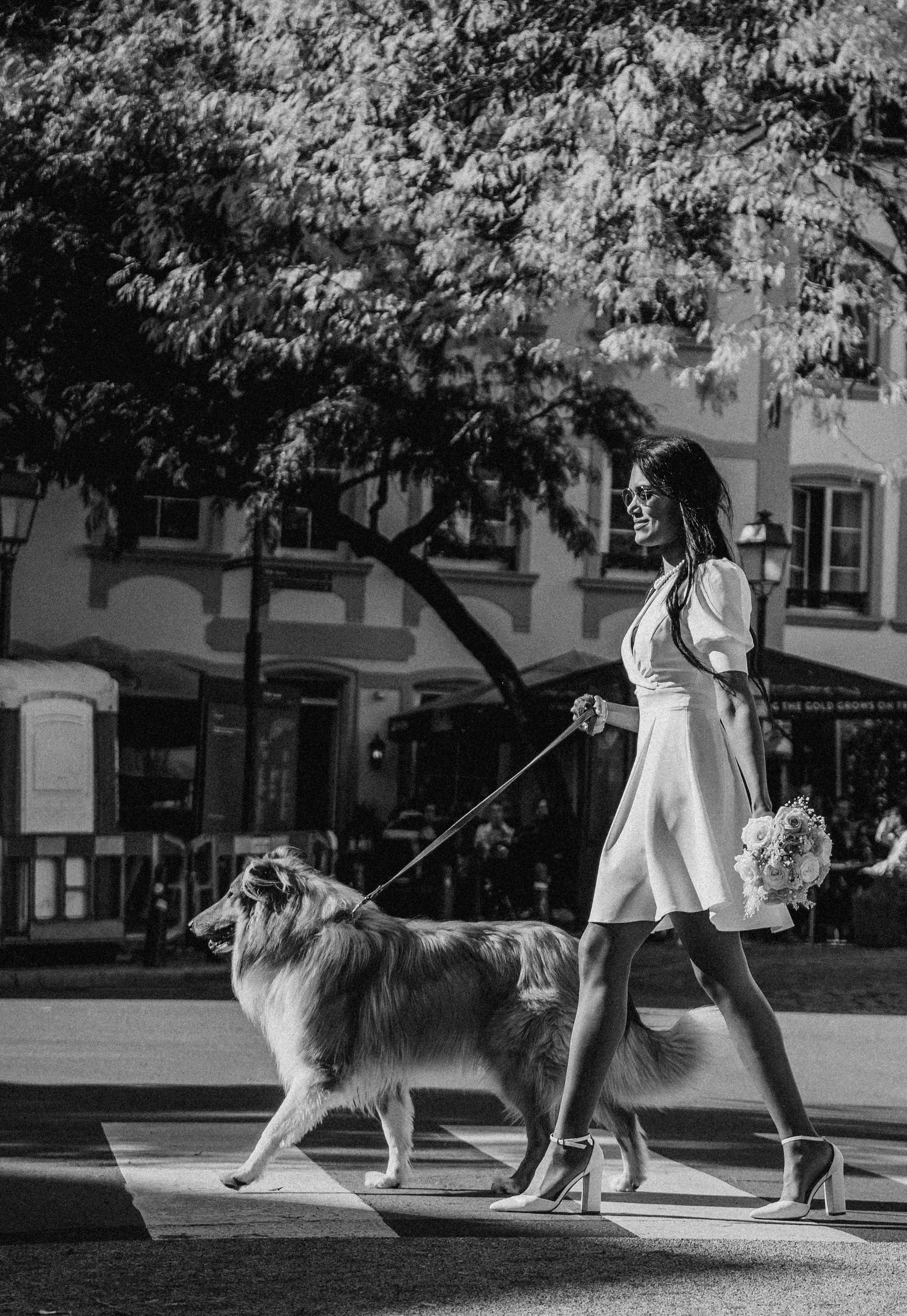 Wedding in Luxembourg. Photographer in Luxembourg Tanita