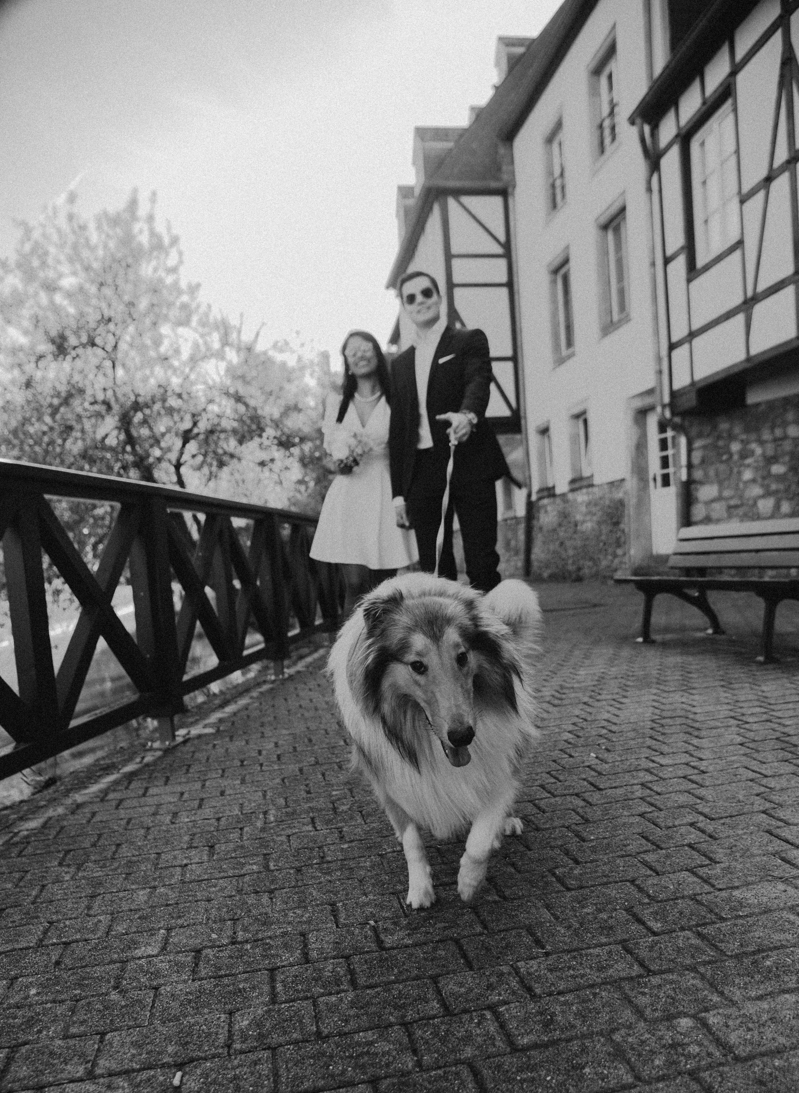 Wedding in Luxembourg. Photographer in Luxembourg Tanita