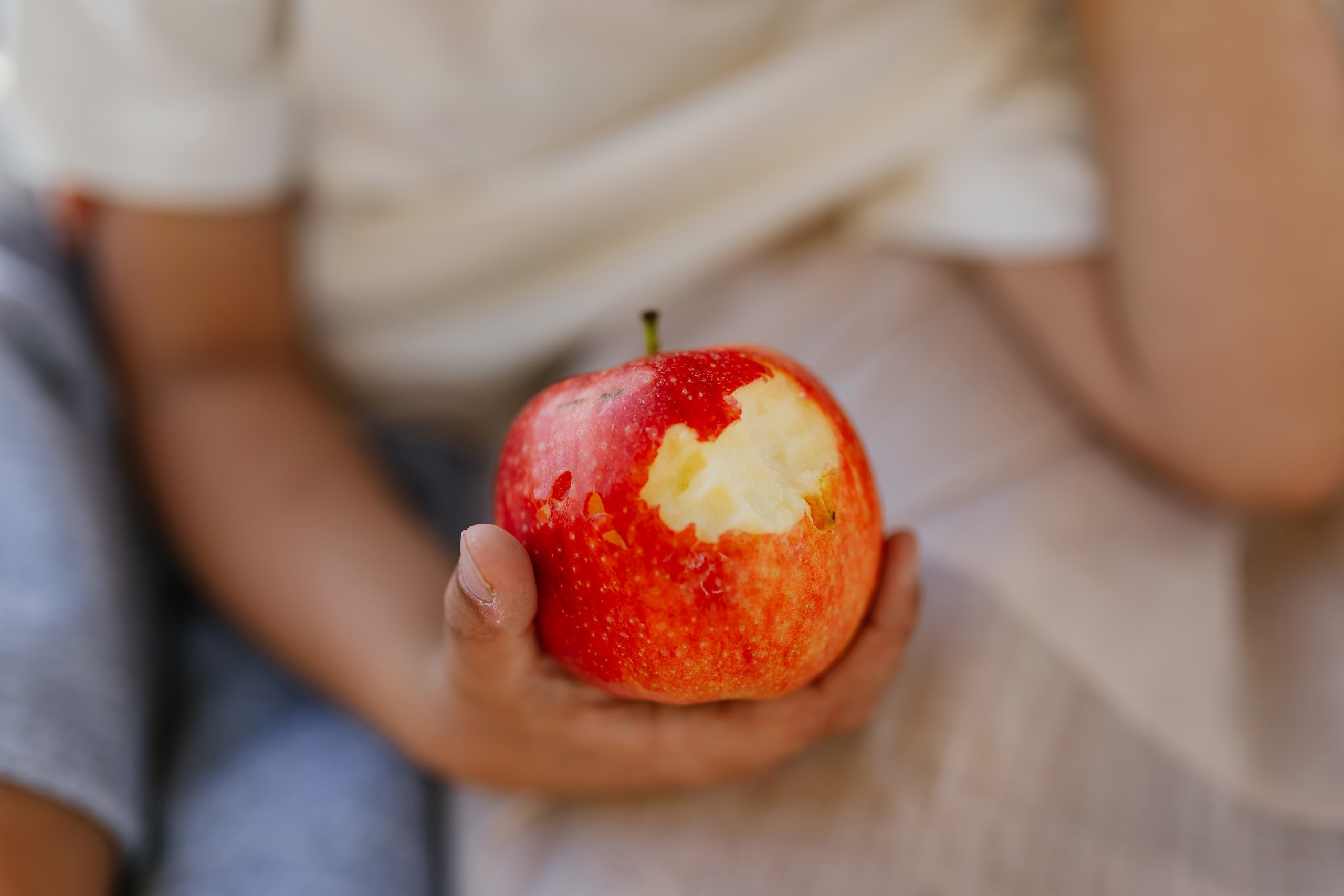09.30.25 Family Photoshoot. Wedding family event photographer in Chicago Nick Yushevich