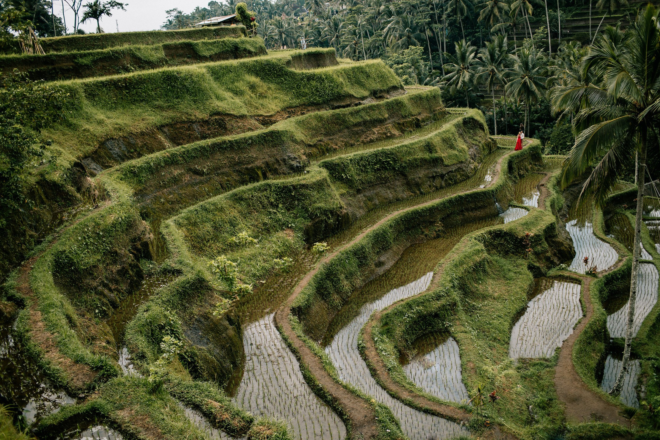 Rice terraces + secret temple. Getitfeel — Aesthetic Photography and Videography