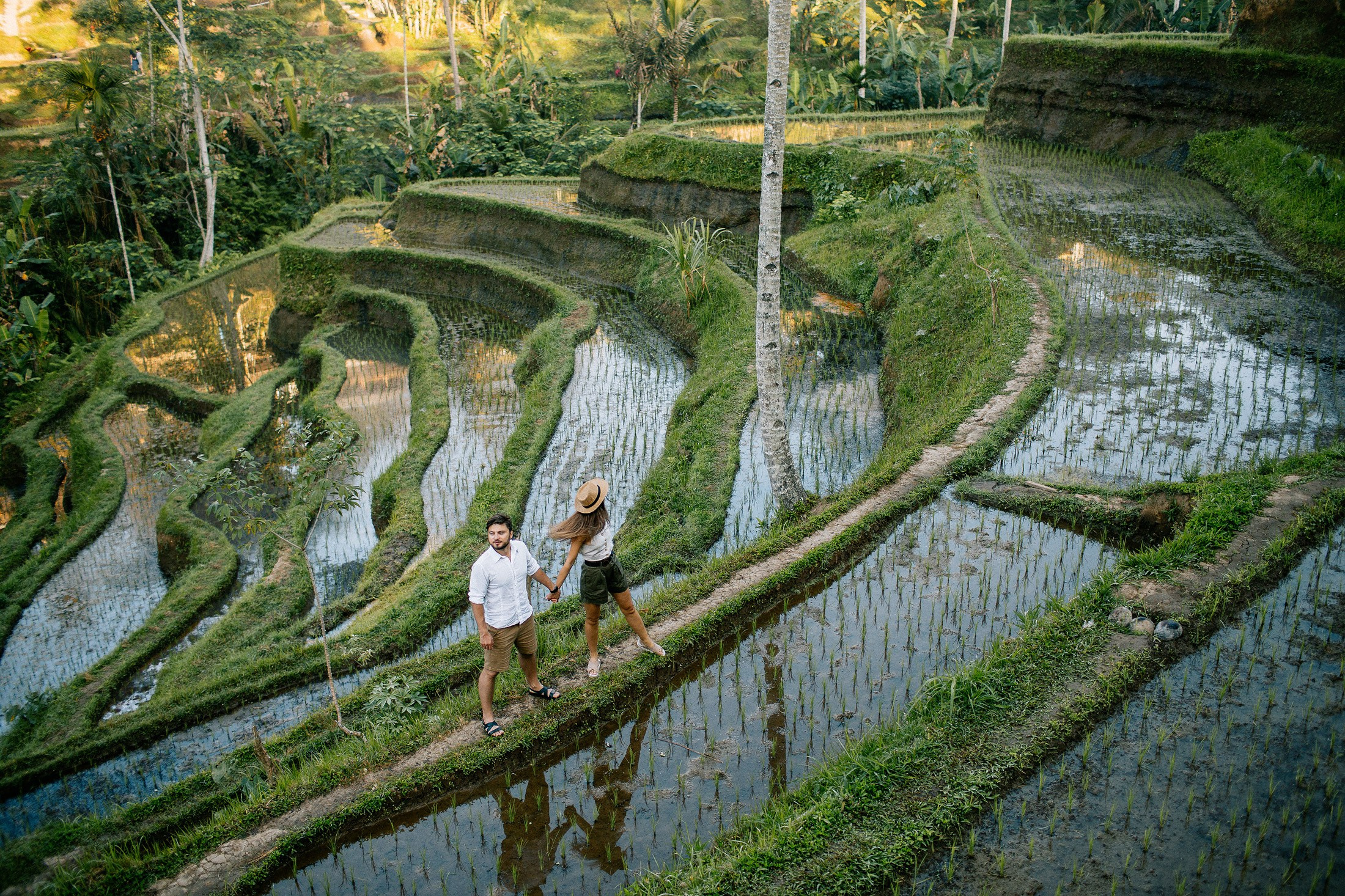 Rice terraces + waterfall. Getitfeel — Aesthetic Photography and Videography