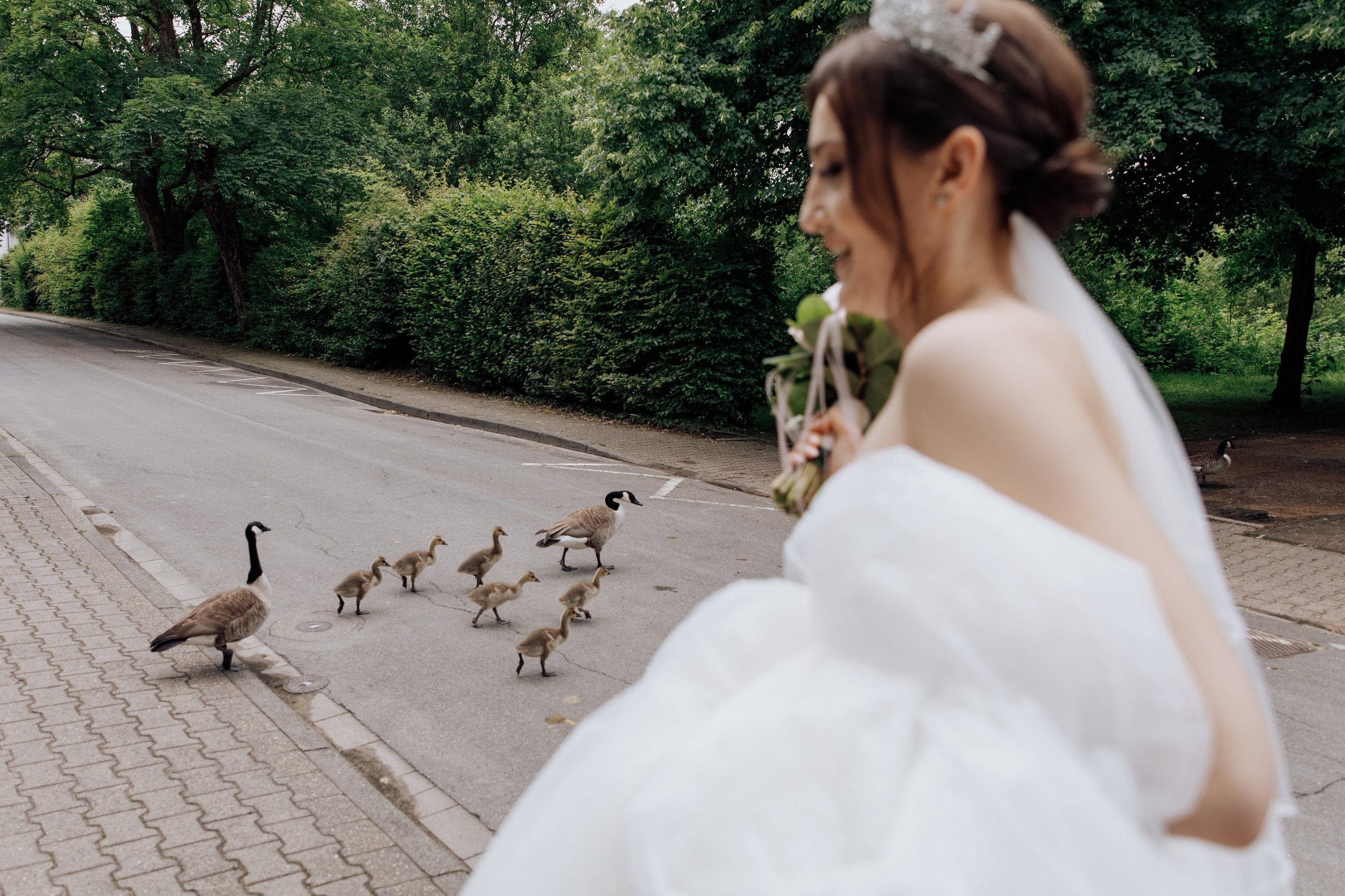 Die Braut geht und wird von einer Ente und ihren vielen Küken auf dem Weg überquert. Ein charmantes und unerwartetes Detail der Hochzeit.