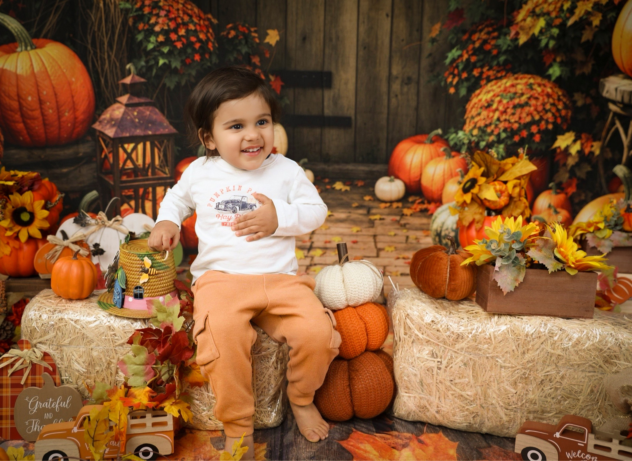 Fall and Halloween. AP Lens Photography | Newborn, Maternity, Milestone & Family Photographer Little Elm TX
