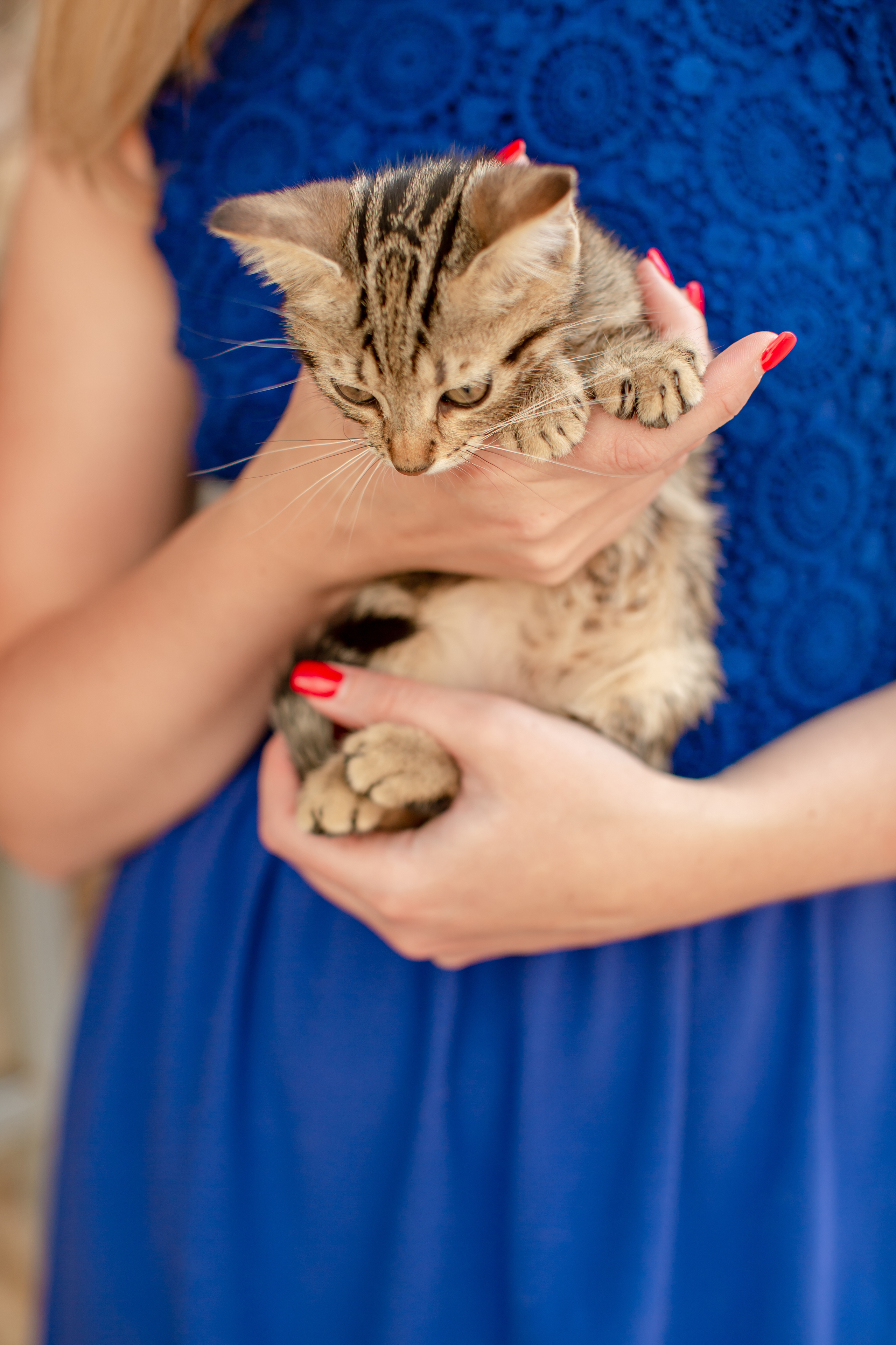 Persoonlijke fotograaf in Montenegro