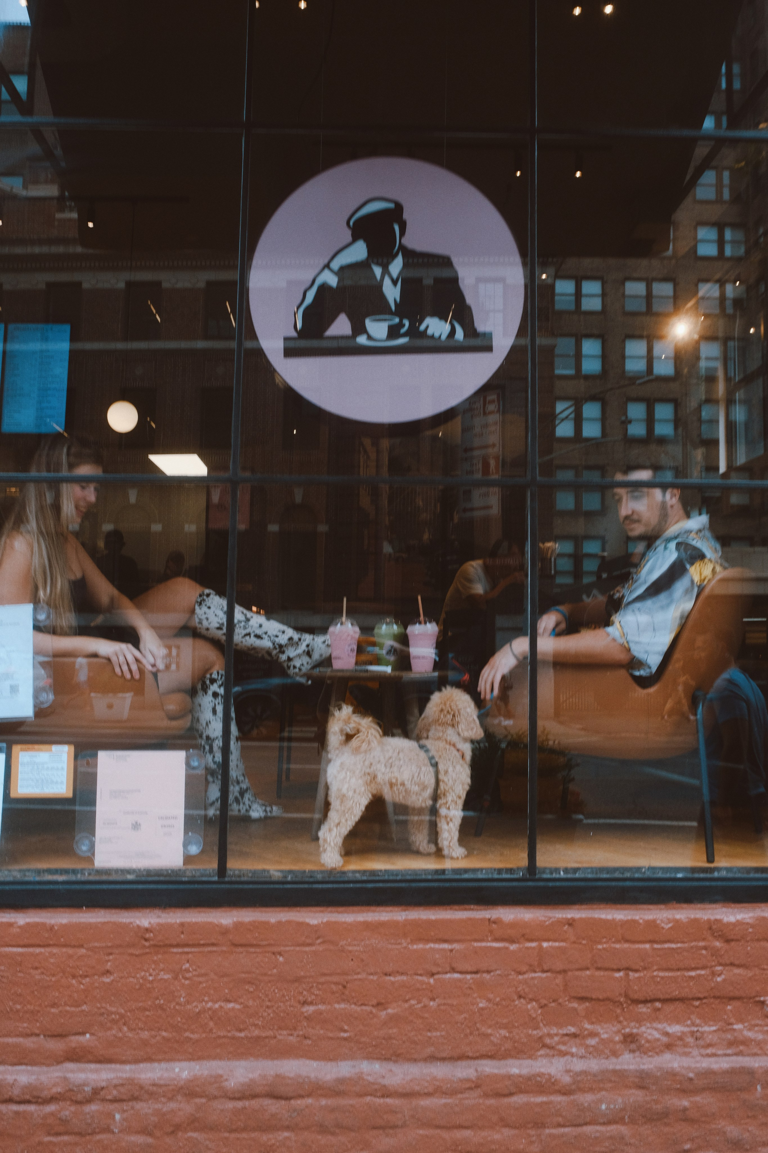 Annie, Egor & Locky. New York Photographer Sveta Zemskova, NYC Photo