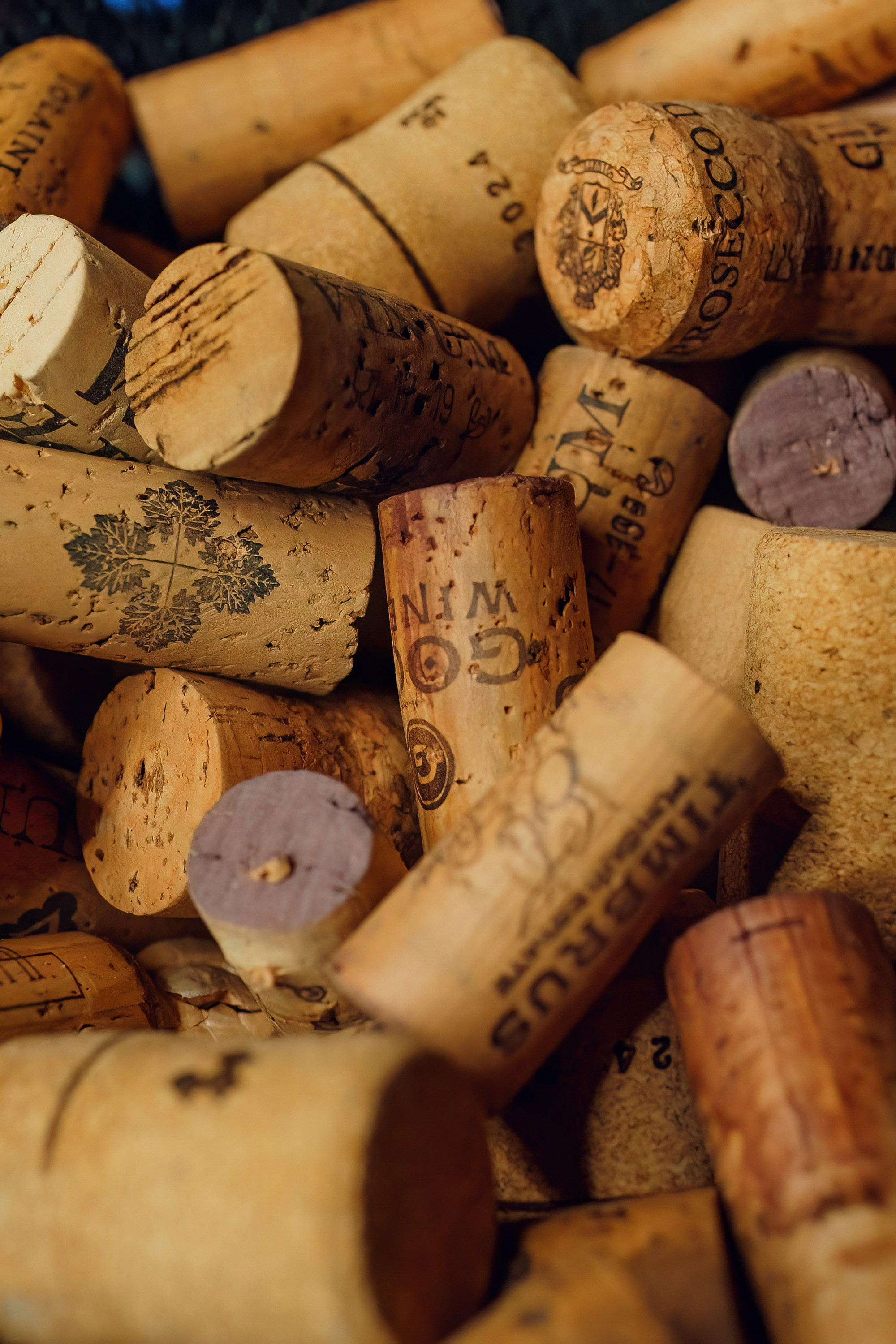 Vino Pizza_1. Fotograf în Chișinău