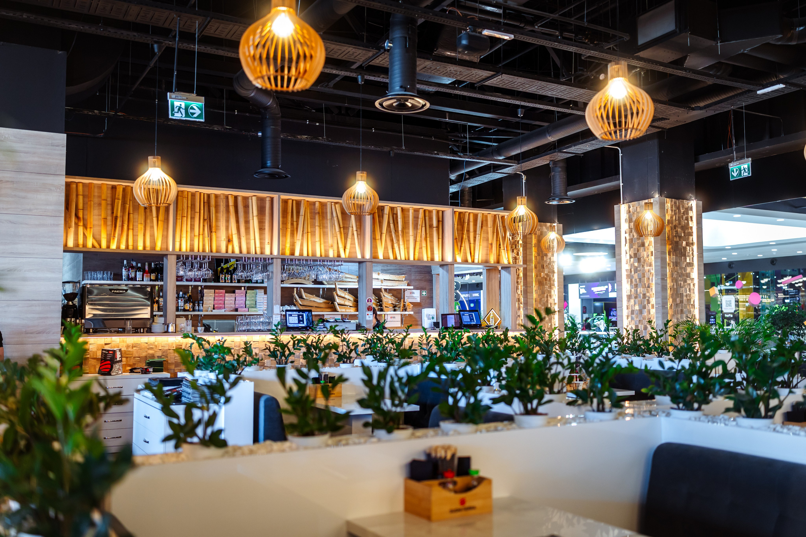 Sushi Terra. Marius Ciocan