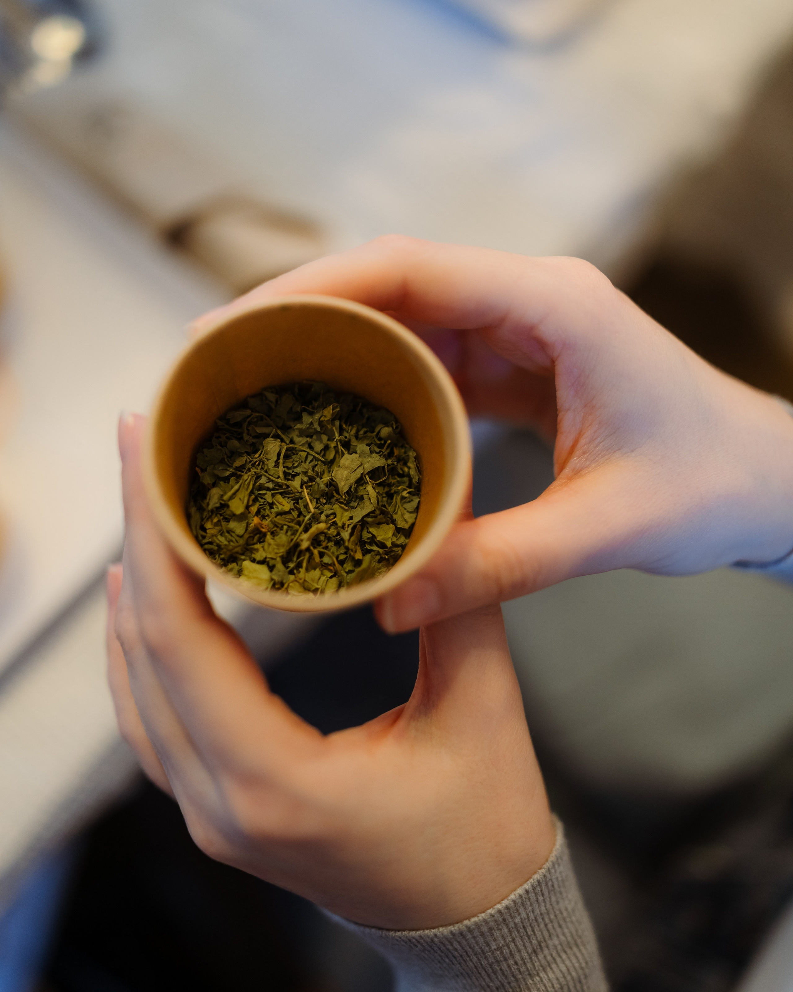 Indus at CUIB. Marius Ciocan