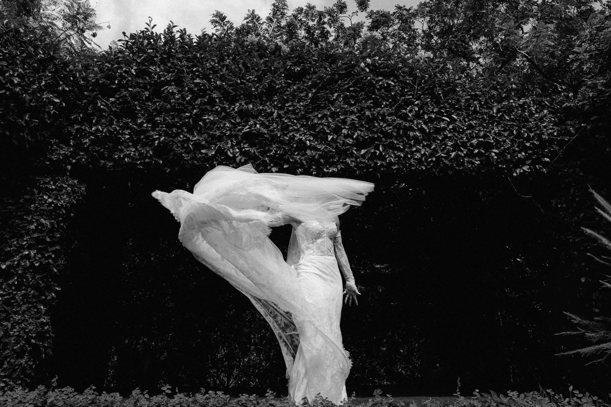 Gladys & Abdel. Wedding and family photographer in Mexico City