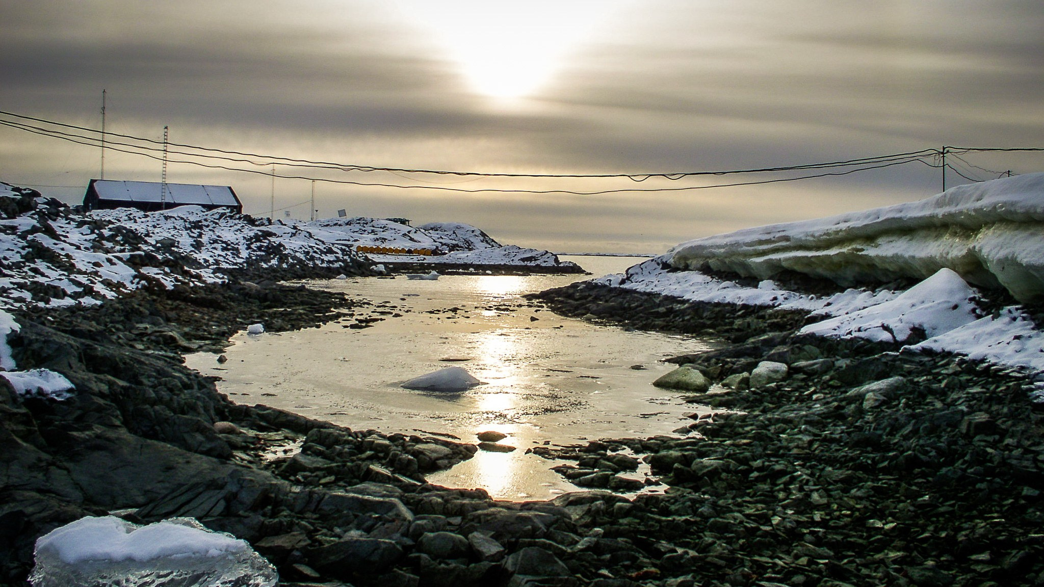 ANTARCTICA / 2004. Reportage concert portrait photography in the San Francisco Bay Area