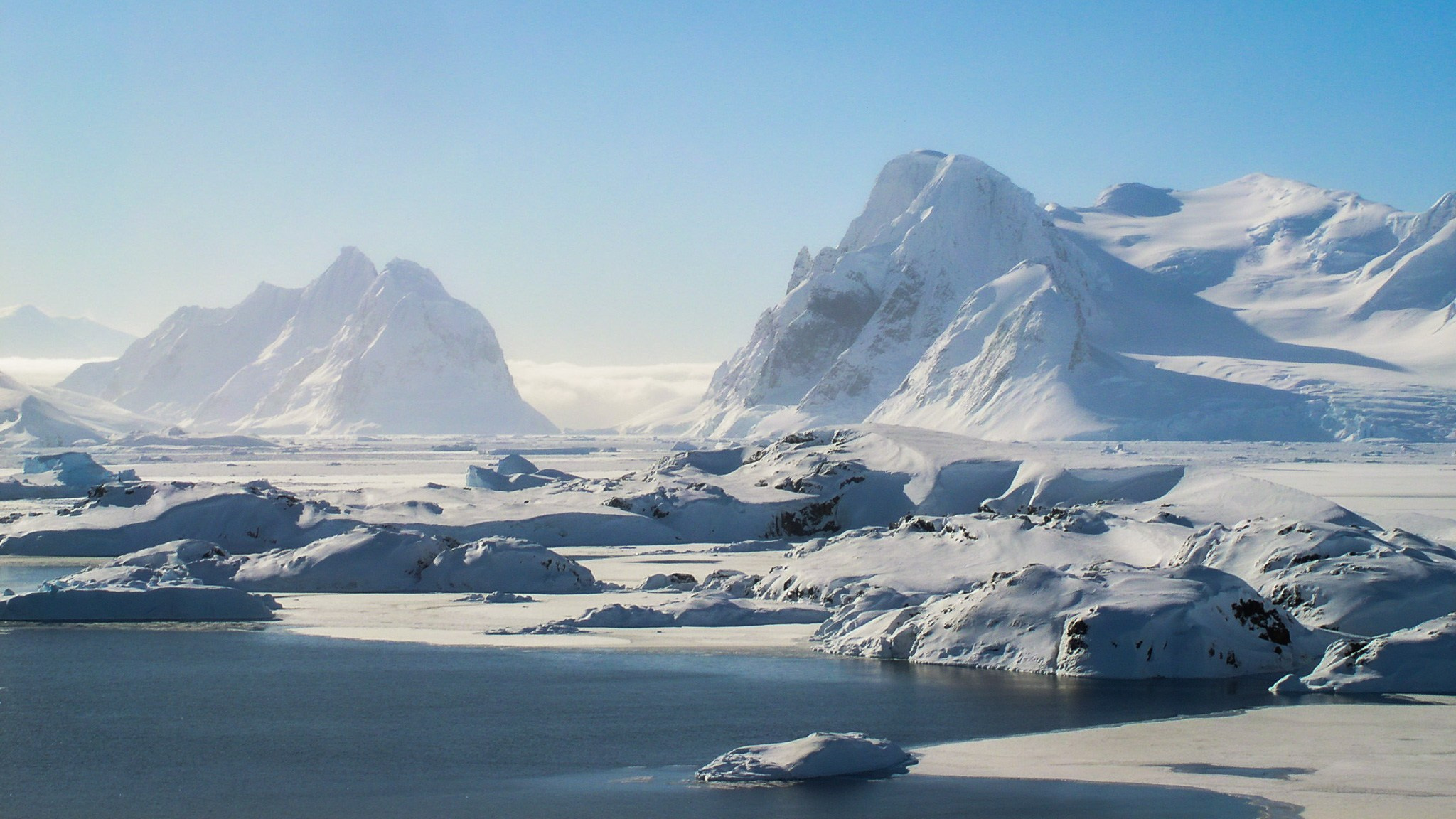 ANTARCTICA / 2004. Reportage concert portrait photography in the San Francisco Bay Area