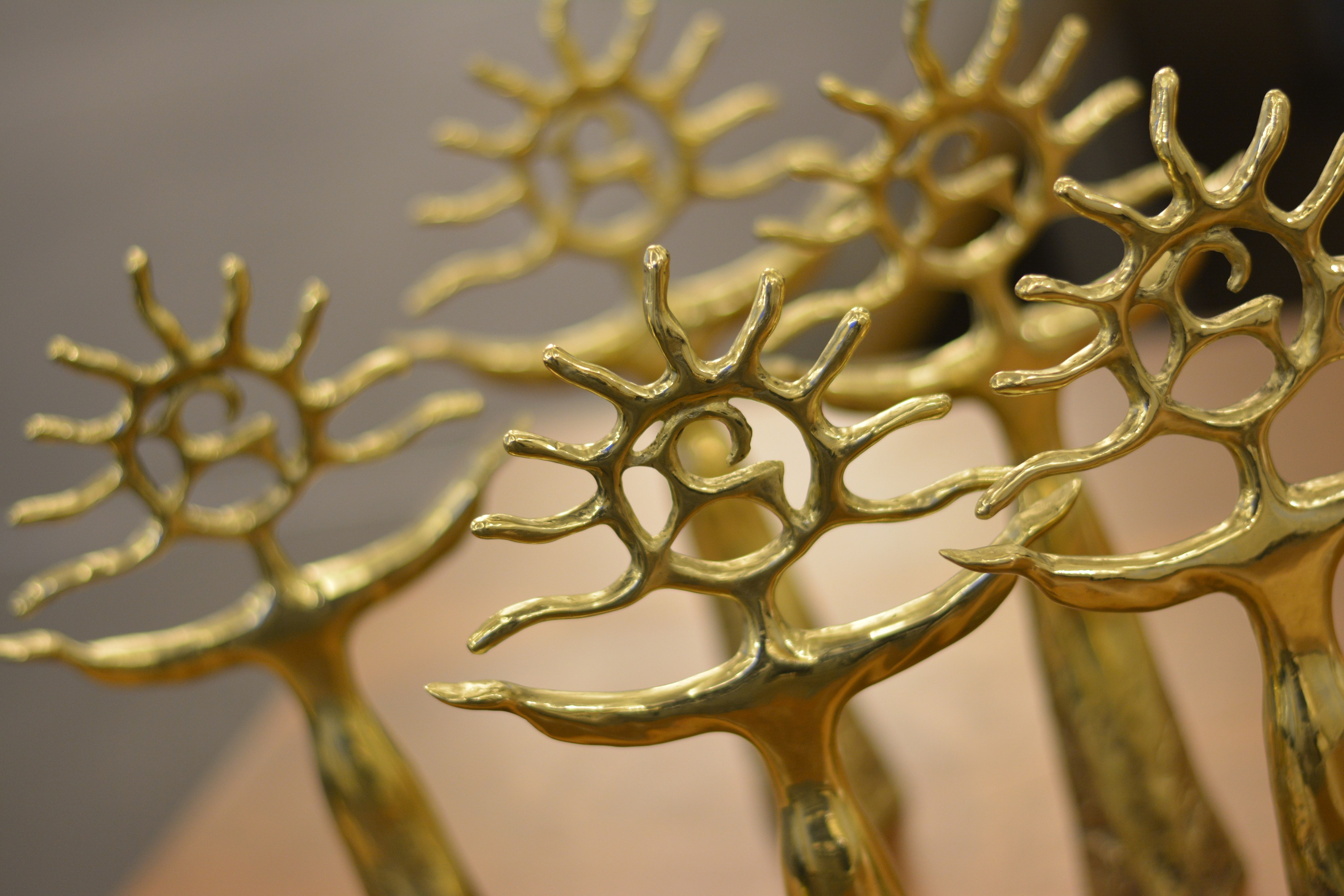 Репортажи. Фотограф в Бишкеке