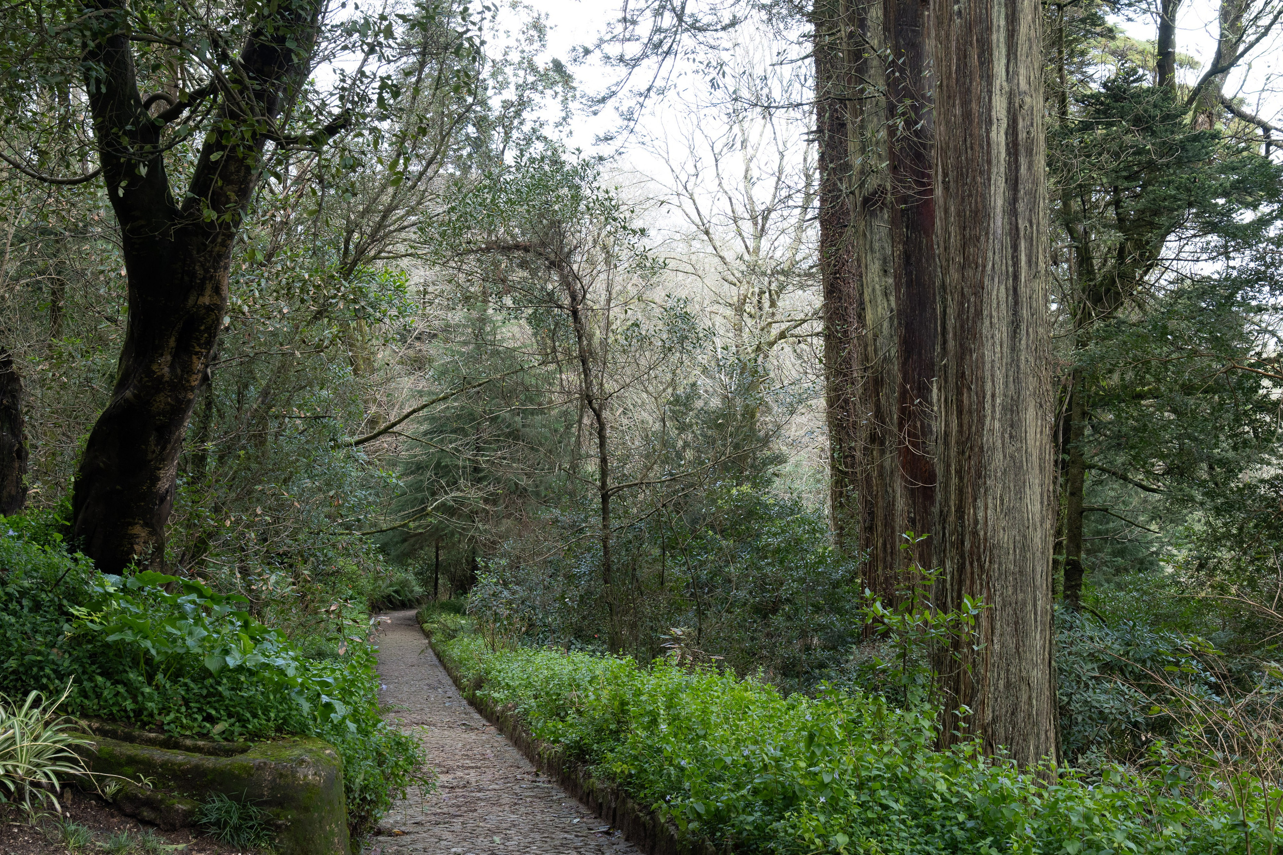 Lisabona 2025. Fotografiideplacere.net