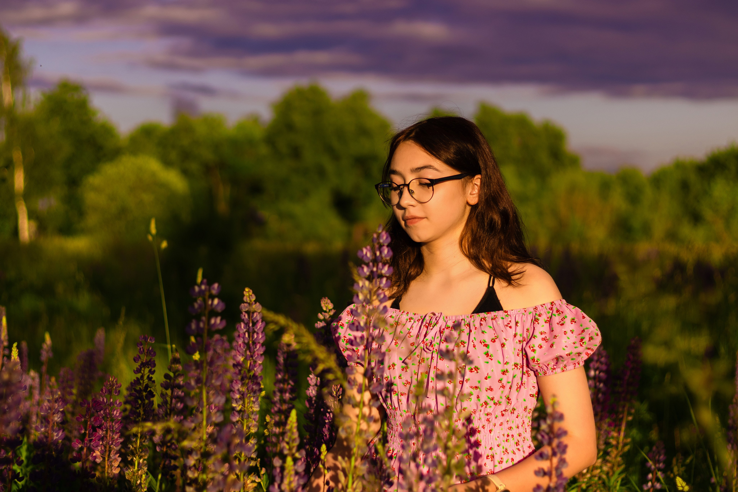Фотосессия в люпинах. Фотограф / Даугавпилс / Ольга Антонова