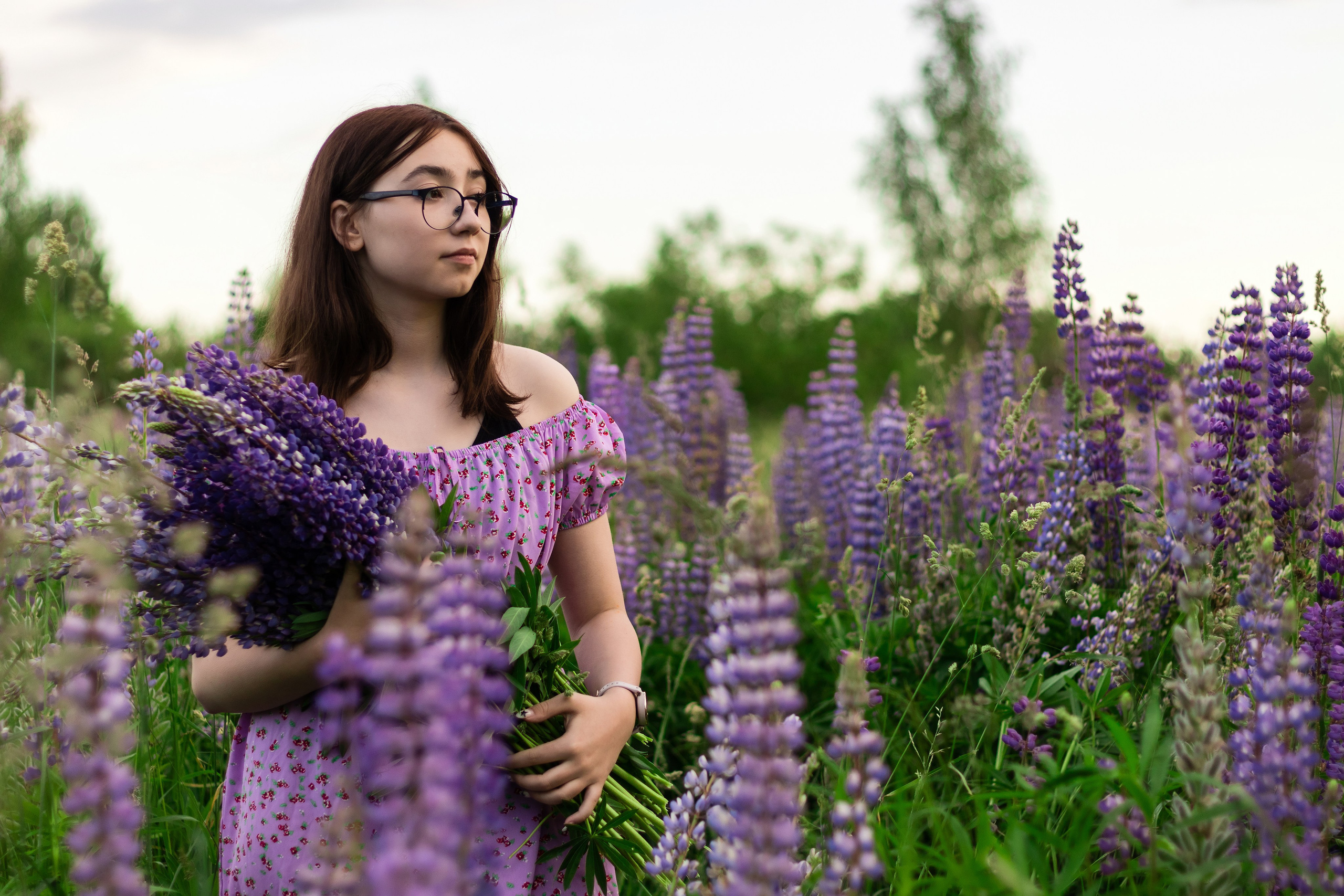 Фотосессия в люпинах. Фотограф / Даугавпилс / Ольга Антонова
