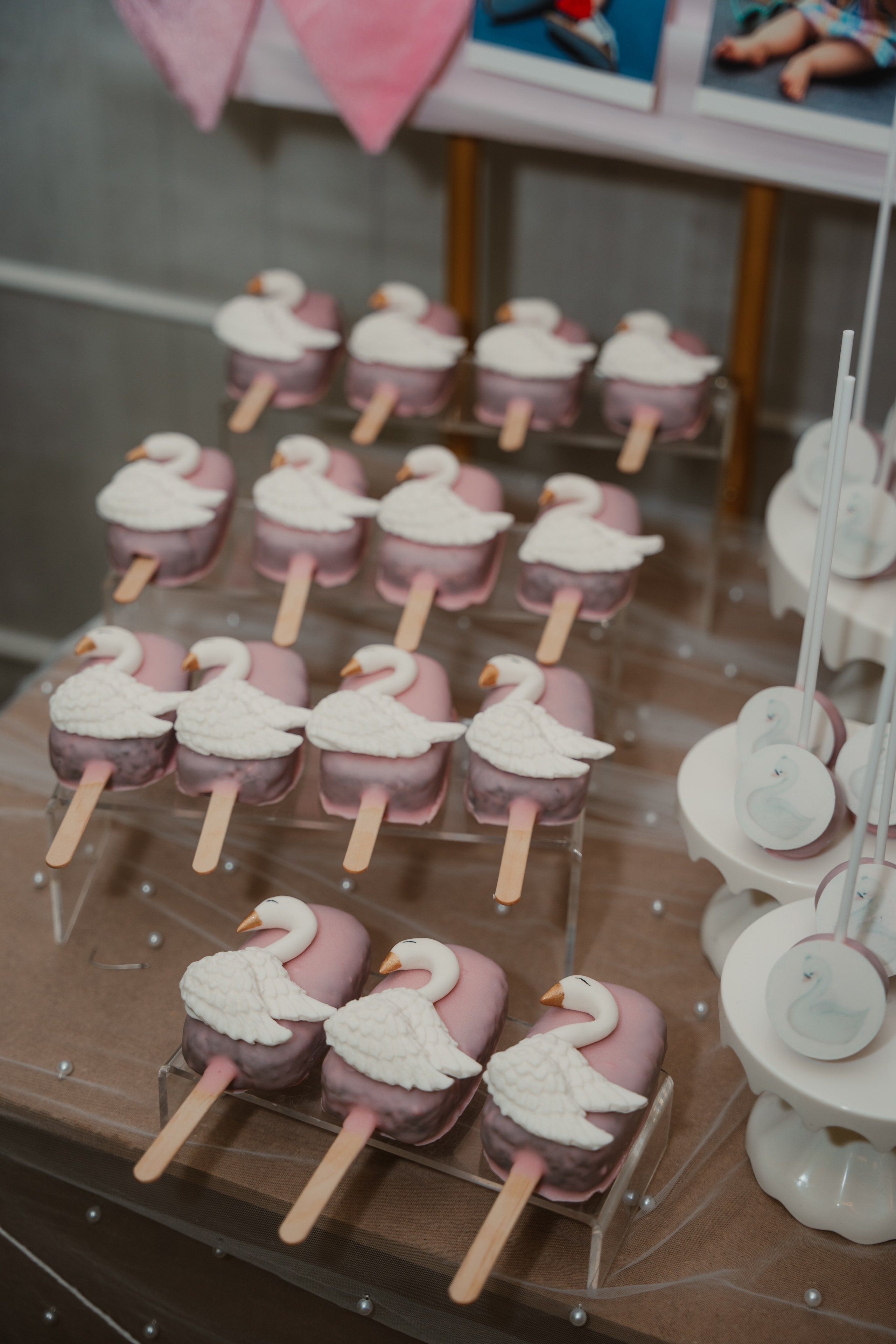 Roðendani. Porodični fotograf