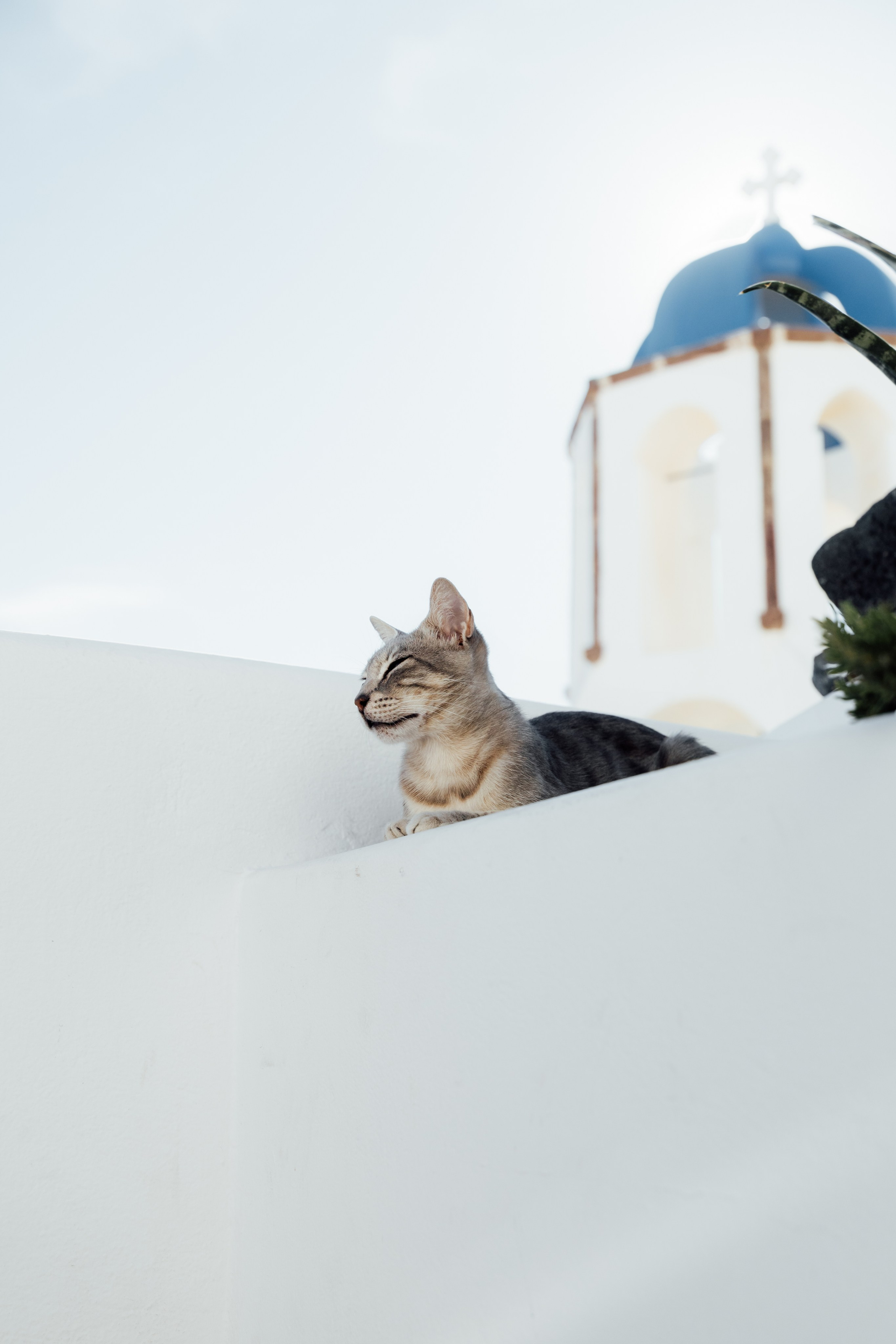 David & Serena. Santorini, GR. Timeless Wedding & Events Photography. Based in London, working across Europe