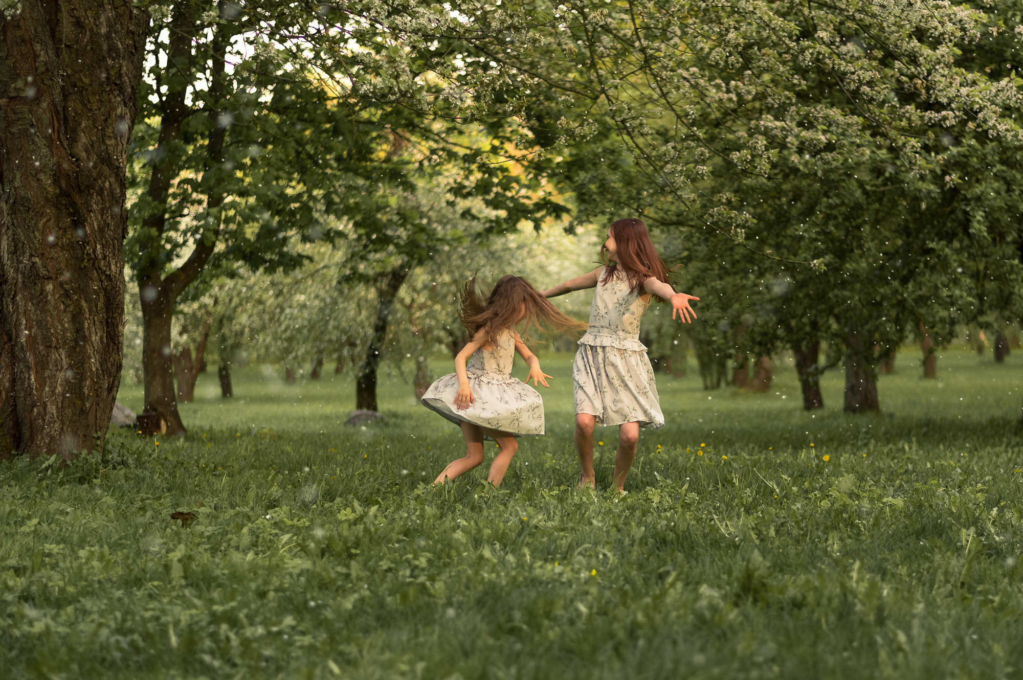 Детская съёмка в цветущем саду. Семейный фотограф и фотограф новорожденных в Вильнюсе Ирина Беленкевич