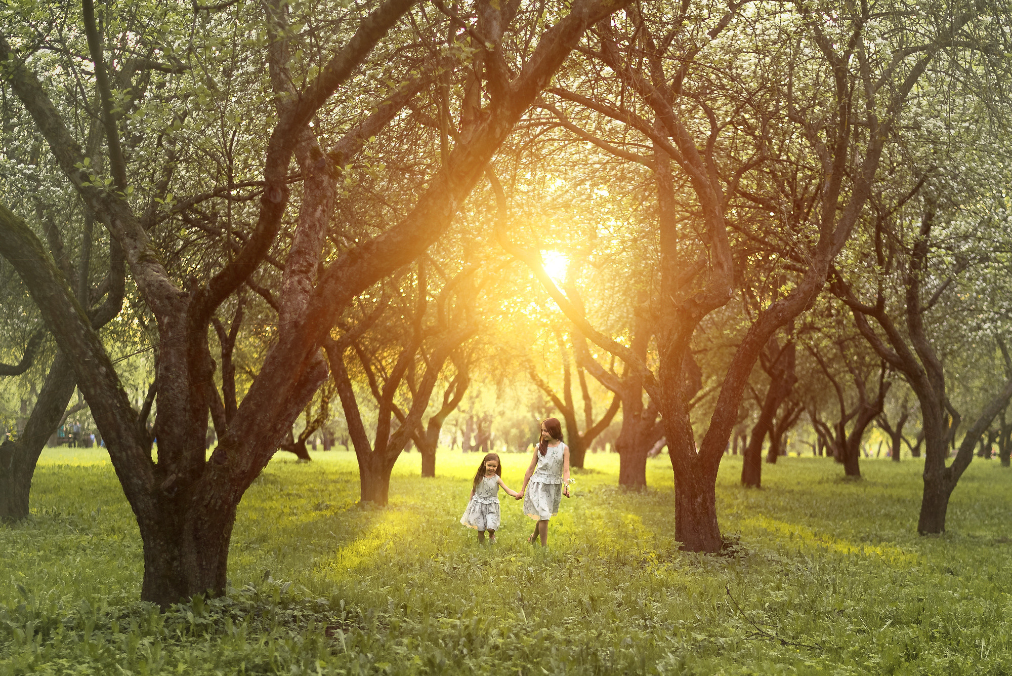 Детская съёмка в цветущем саду. Семейный фотограф и фотограф новорожденных в Вильнюсе Ирина Беленкевич