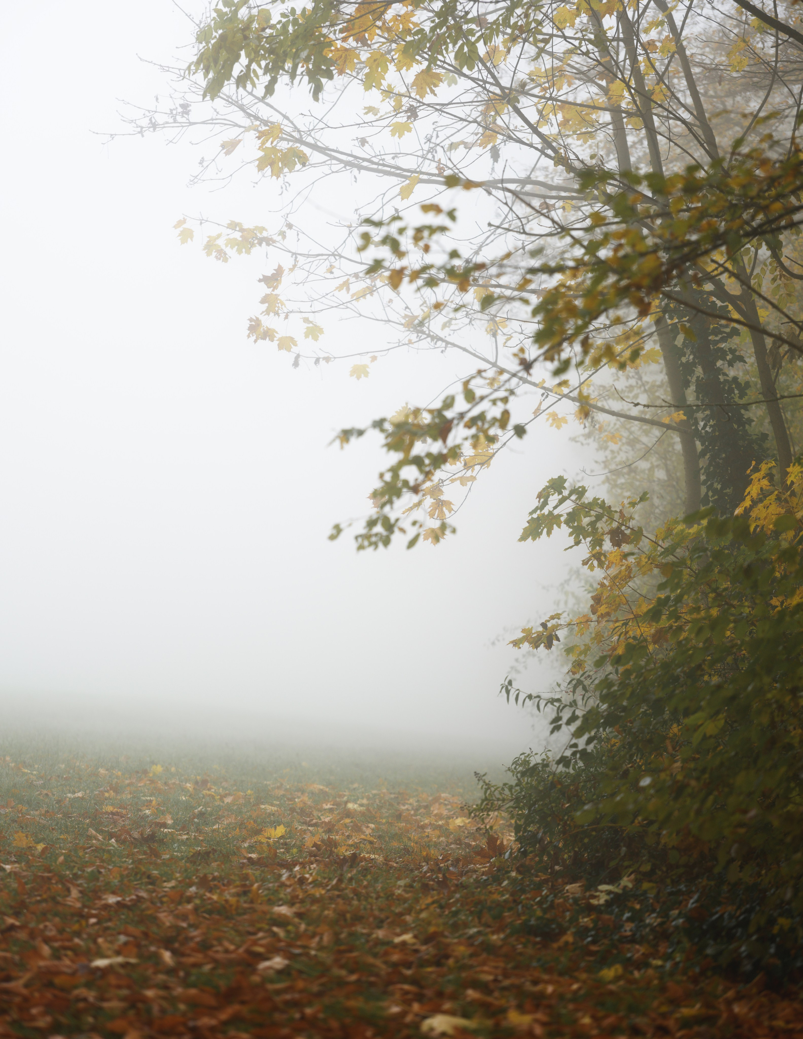 Fotograf, Stuttgart für Travel, berge, architekur, portraits, porträts, landschaften, polas