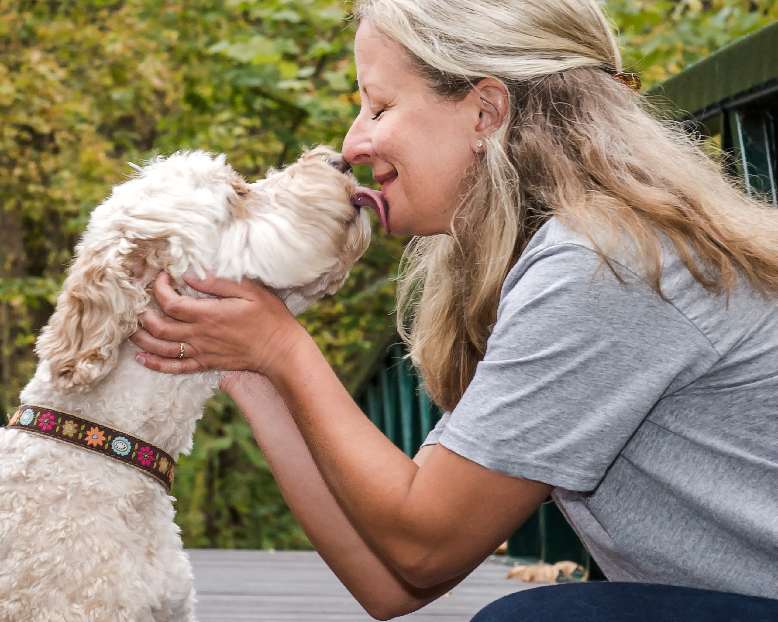 Animal de Compagnie. Studioplaza8