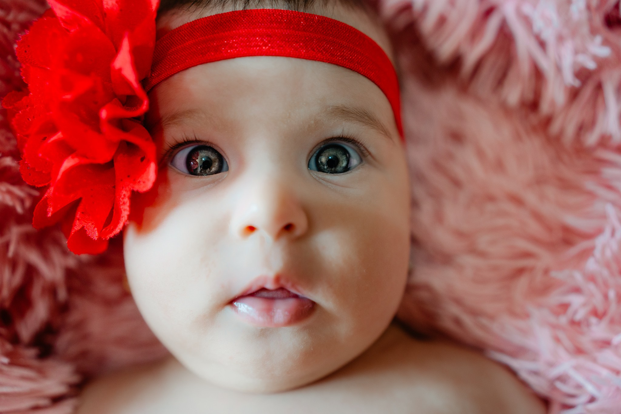 Botez Evelina — Fotografie de botez. Fotografie & Videografie Nunta