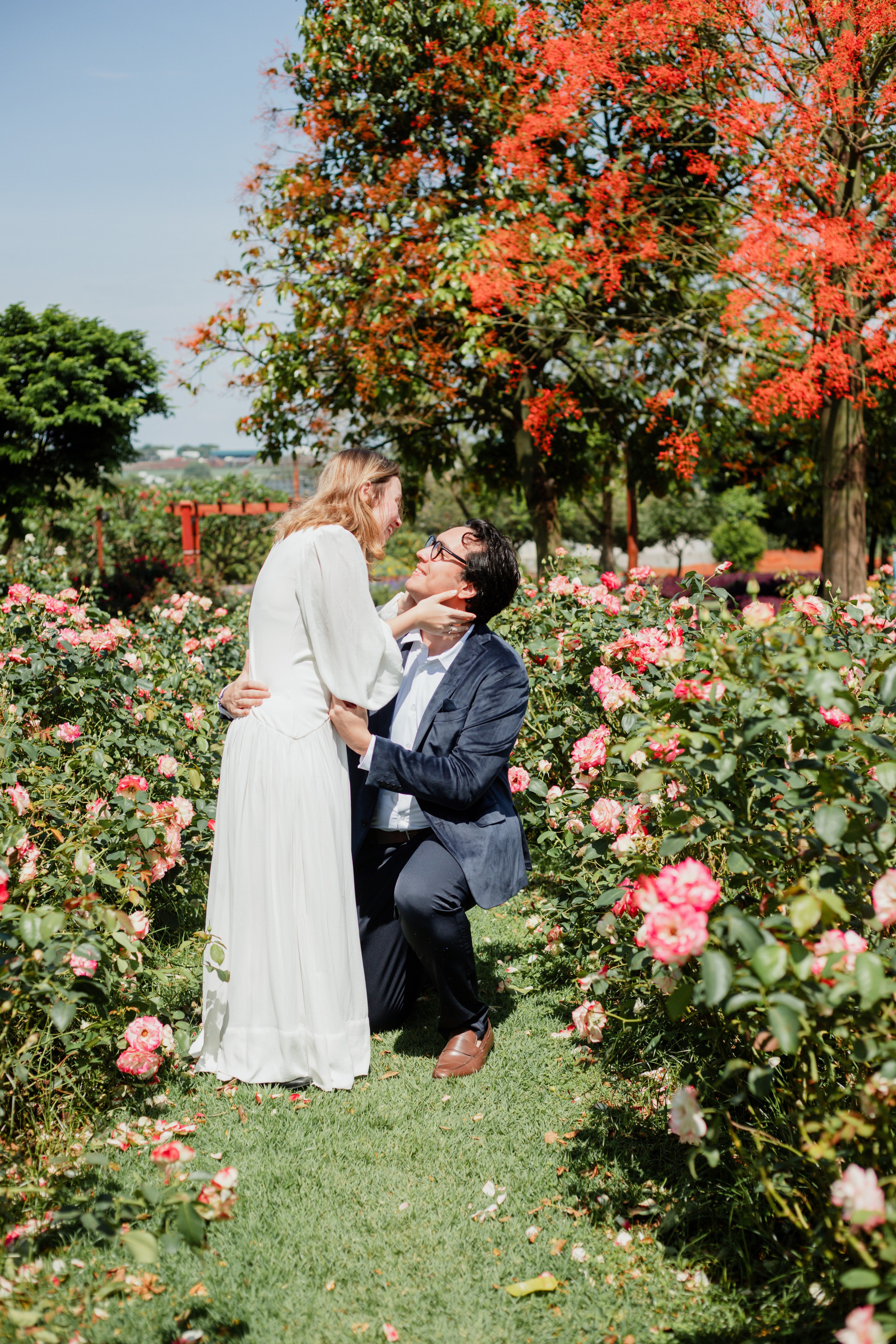 Pedido de Casamento /Bloemen Park. Joyce Maria Fotografia | Fotógrafa em Holambra