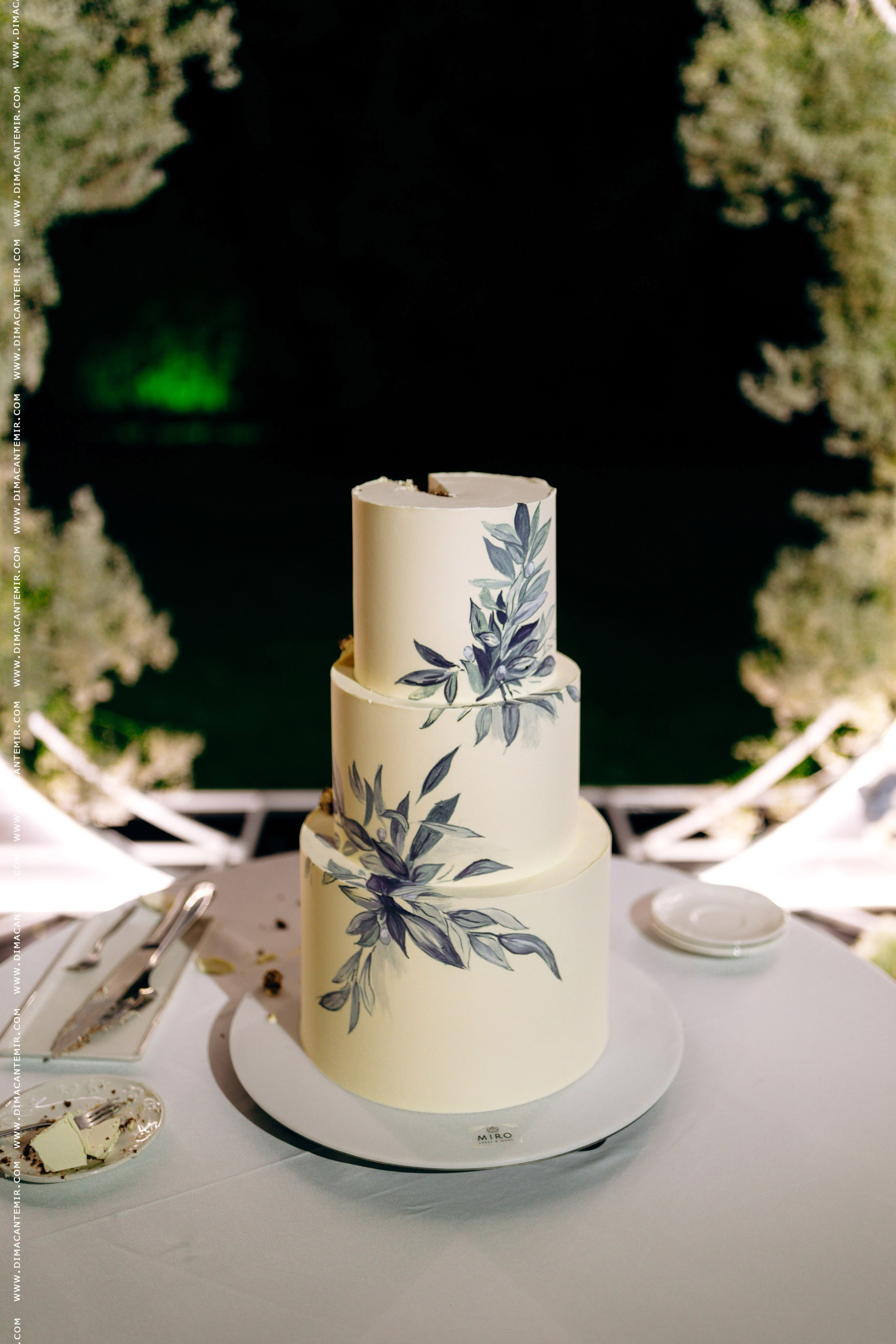 ION + DANA | VILA DRAGO. Fotograf de nuntă în Chisinau, Moldova. Poze și Video Comerciale