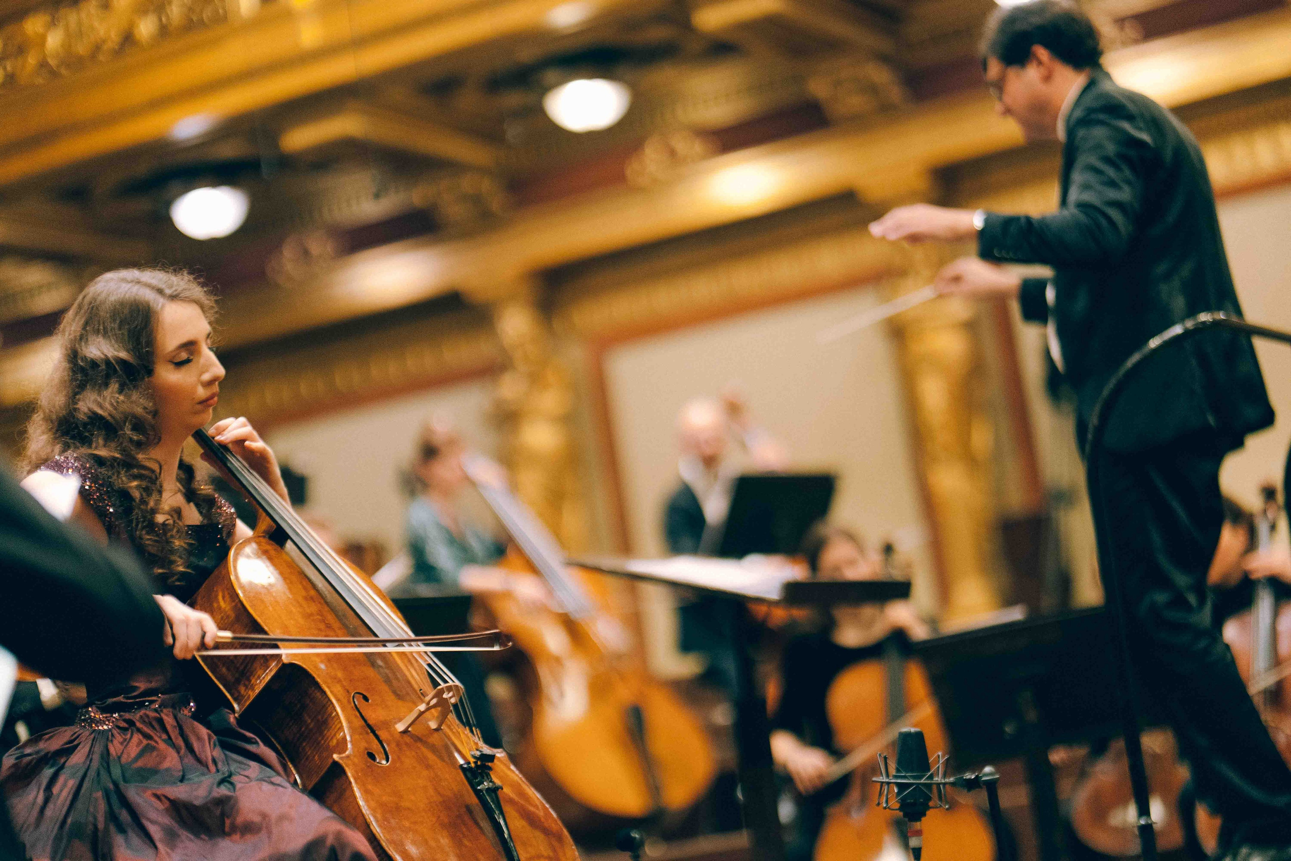 MUSIKVEREIN (VIENNA). Wedding&Event photographer Ismail Rzayev in Baku