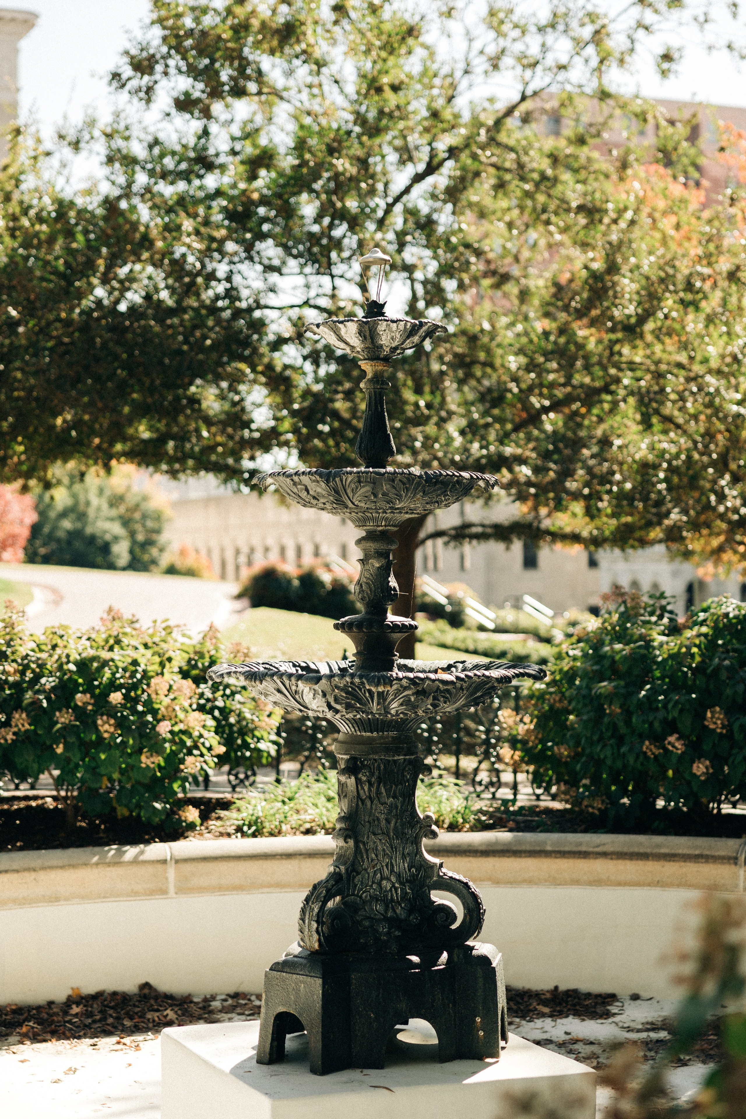 Corinne&Trey. Sara Eulalia | Virginia Photographer