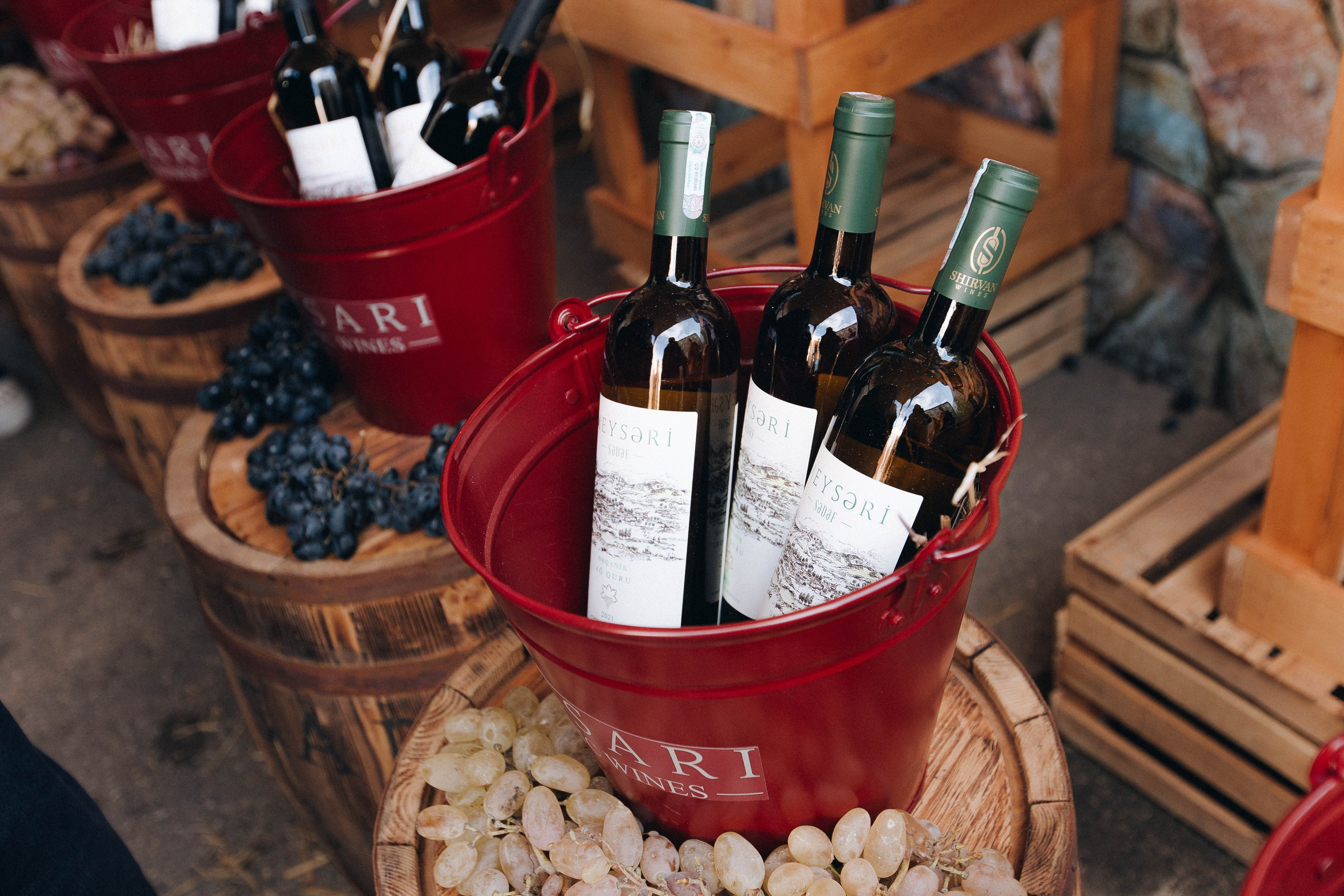 MEYSARI WINE FESTIVAL. Wedding&Event photographer Ismail Rzayev in Baku