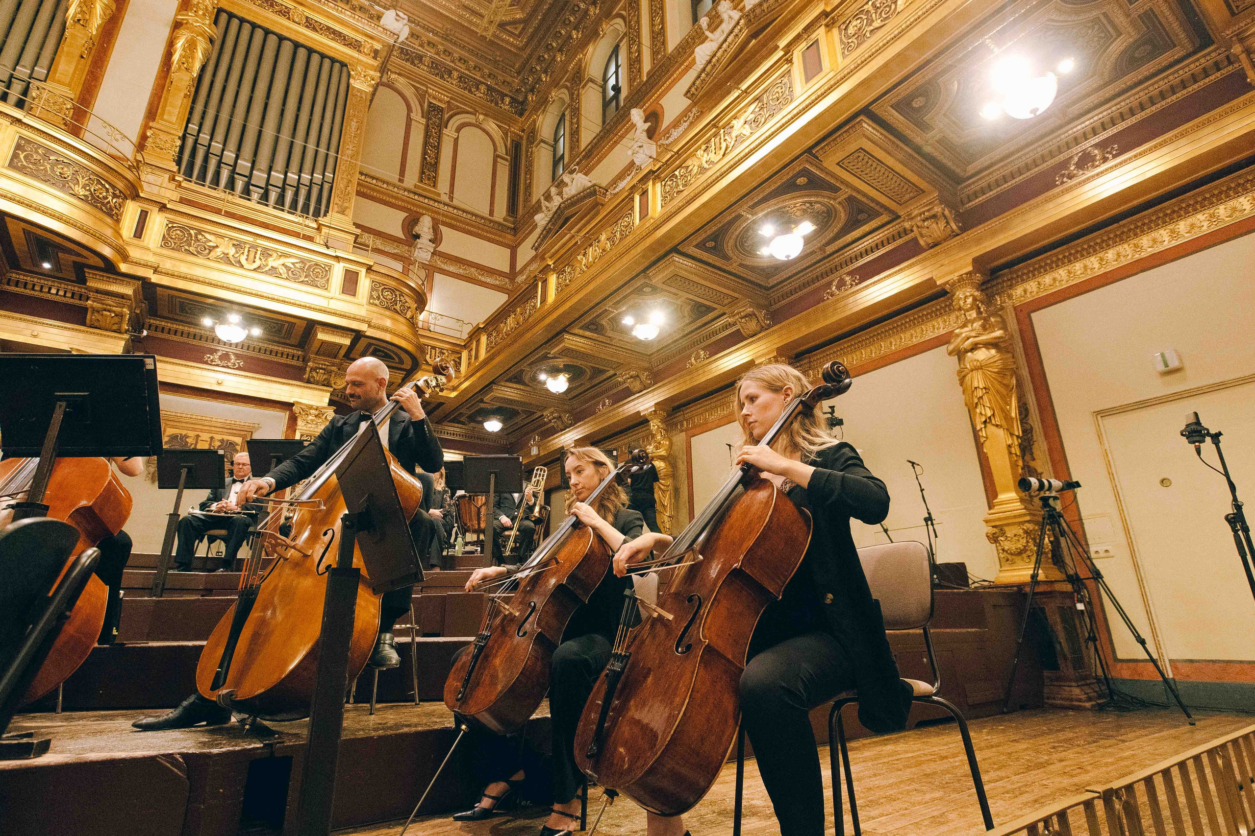 MUSIKVEREIN (VIENNA). Wedding&Event photographer Ismail Rzayev in Baku