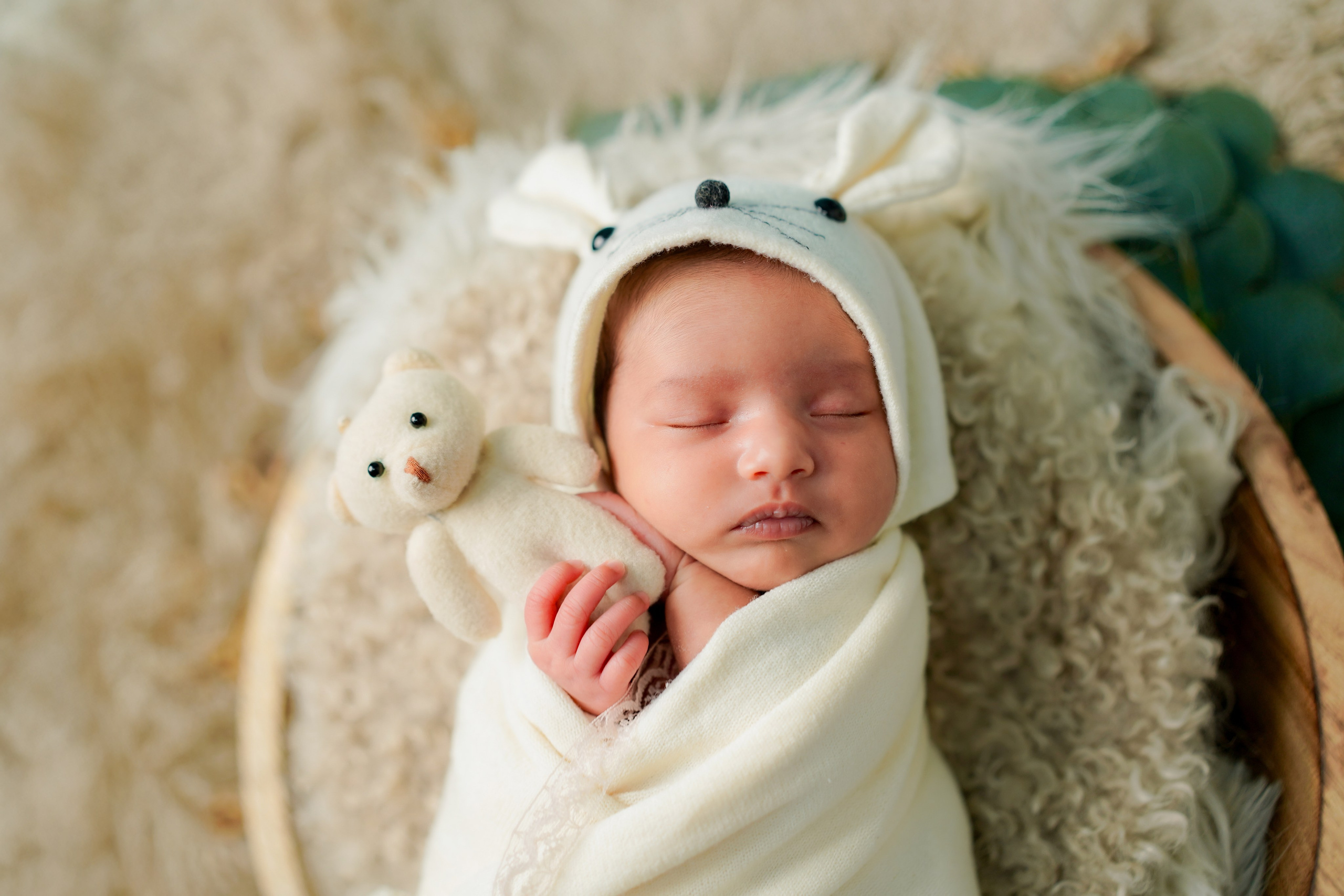 New born. TNF photo & filming