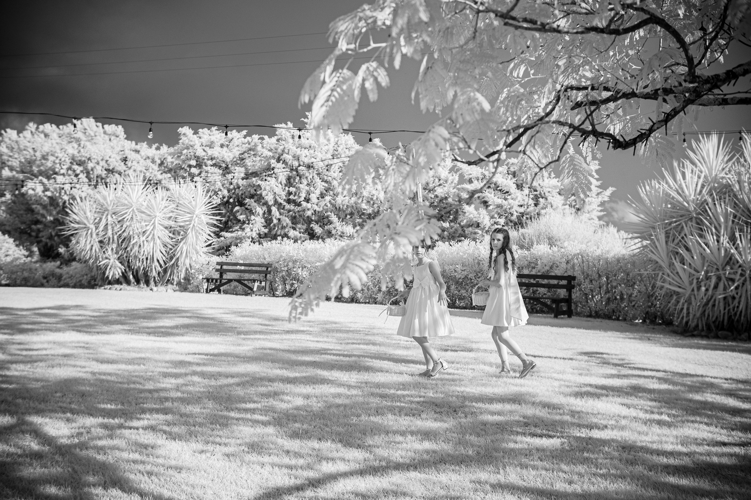 Infrarossi. Fotografia e video