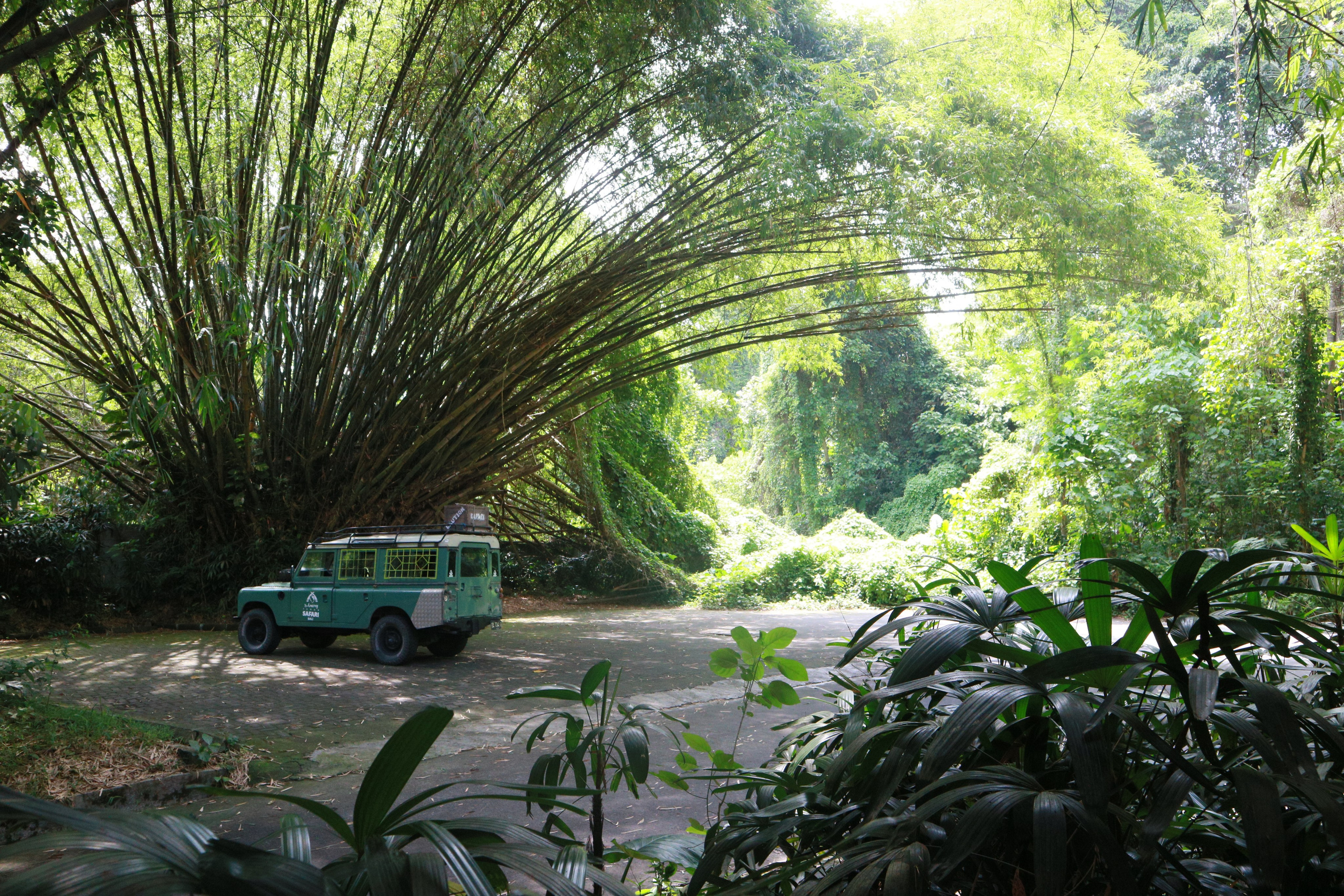 Balinese Days. BNW Around Photography