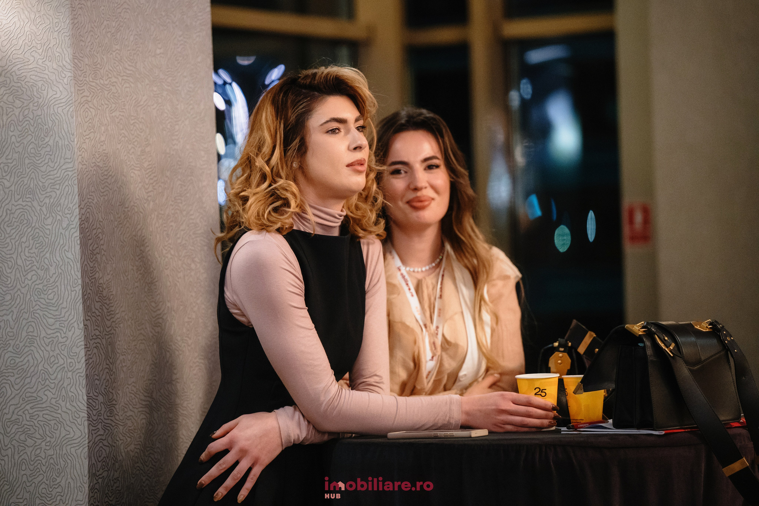 Imobliare HUB. Laurentiu Stefan StoryTeller