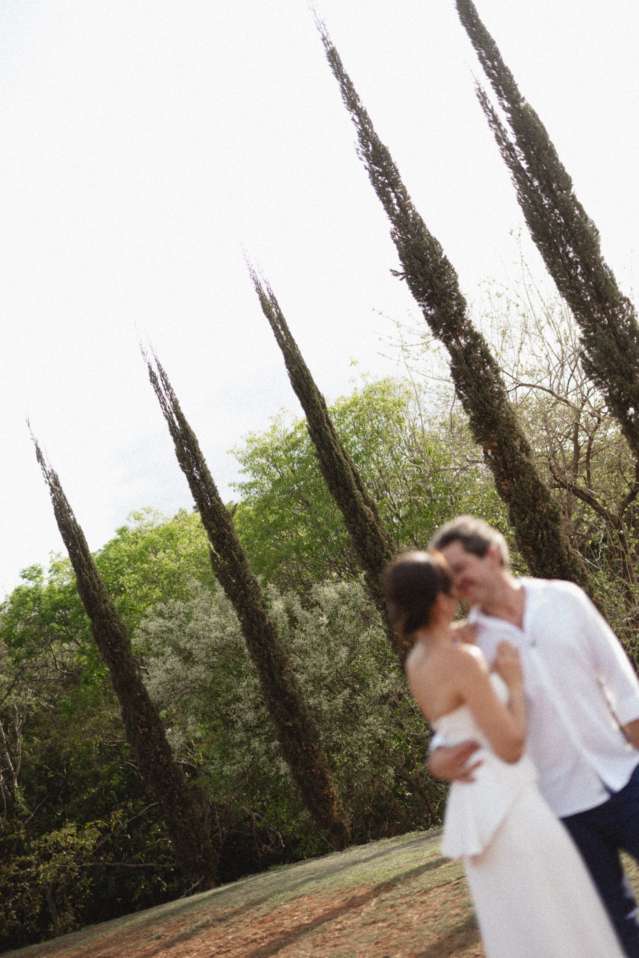 Casamento Marceli e Diego — Vinícola Terras Altas. Fotógrafo de casamento e Filmmaker de casamento
