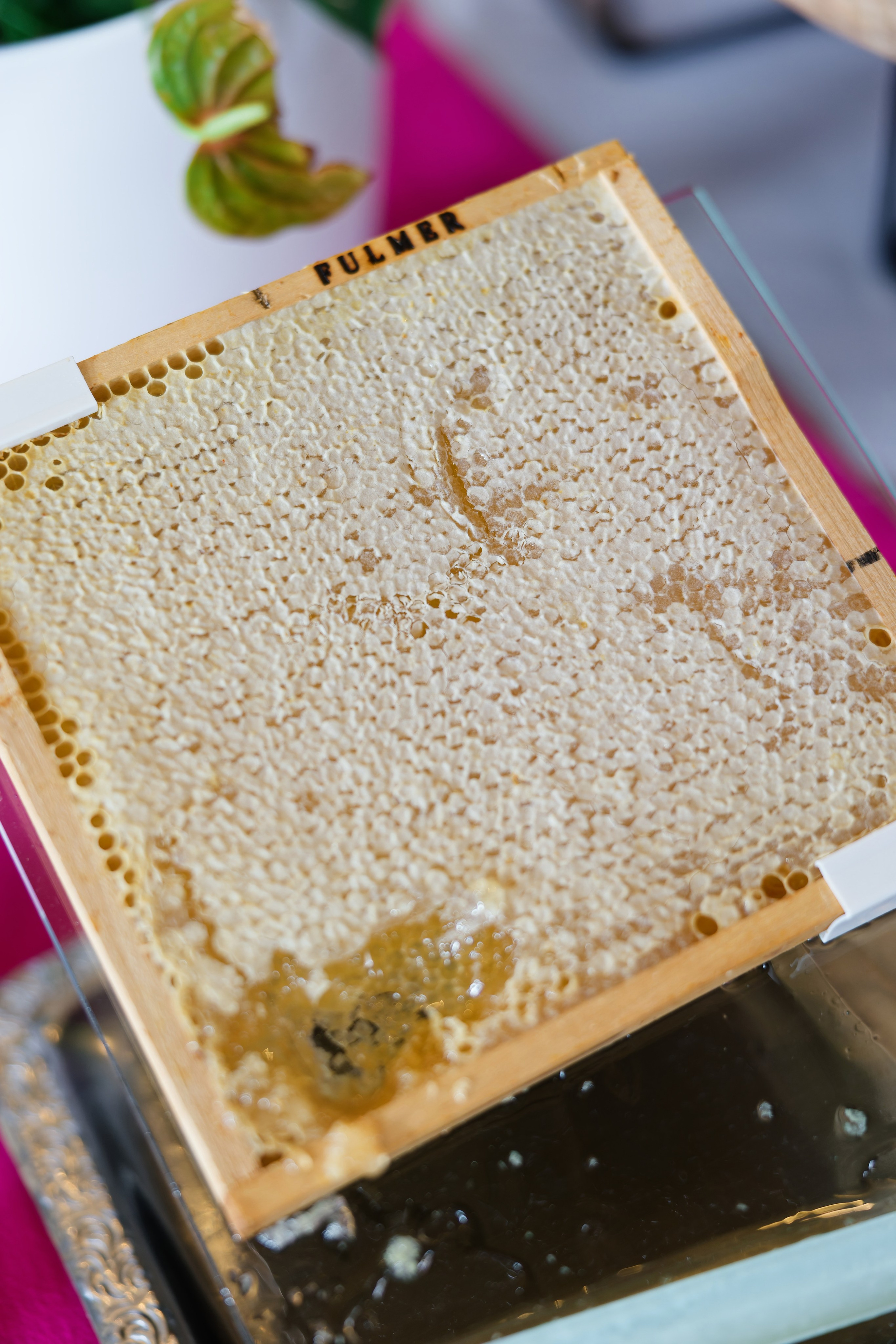 Wedding at Villa Porta on Lake Maggiore