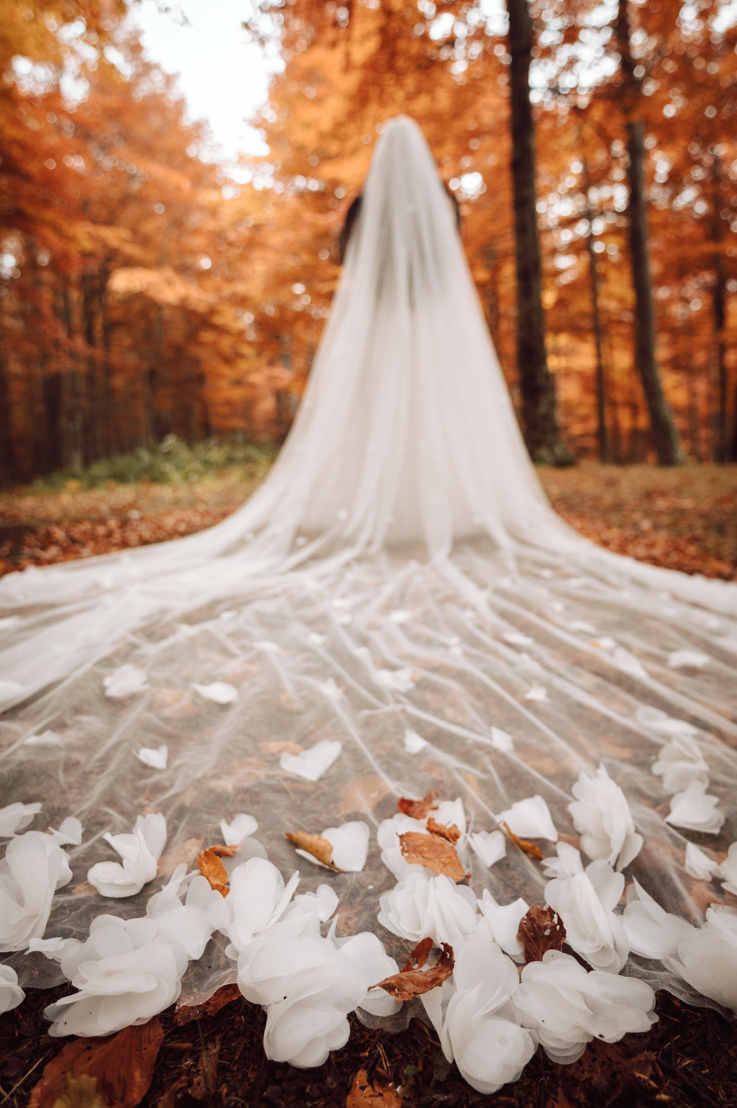 Catalina & Catalin. The Catalins Events — Wedding Photography & Videography