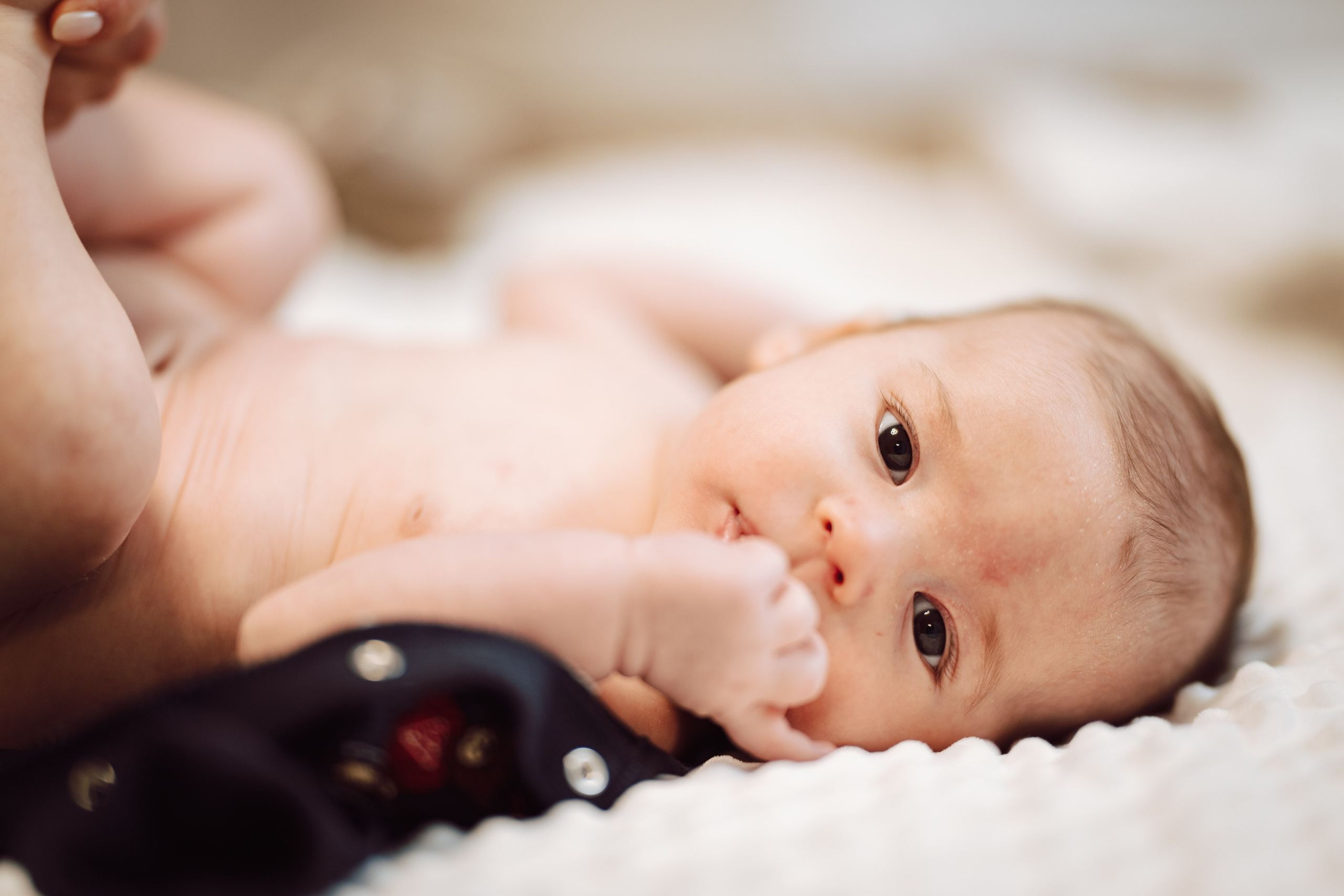 Selim. The Catalins Events — Wedding Photography & Videography