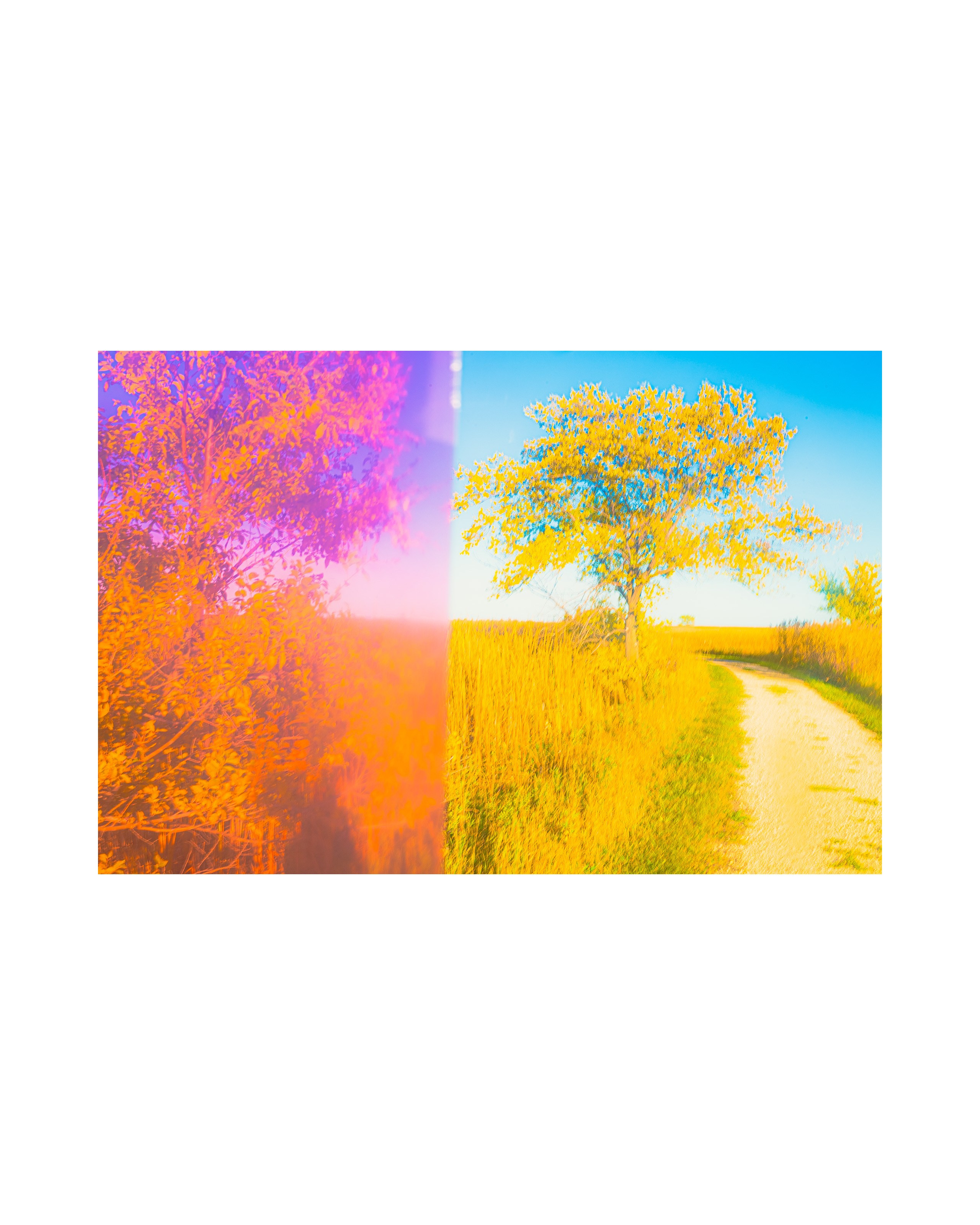 Nature from Exaggerated Worlds. Ekaterina Tsurkina-Appina Photography Canada