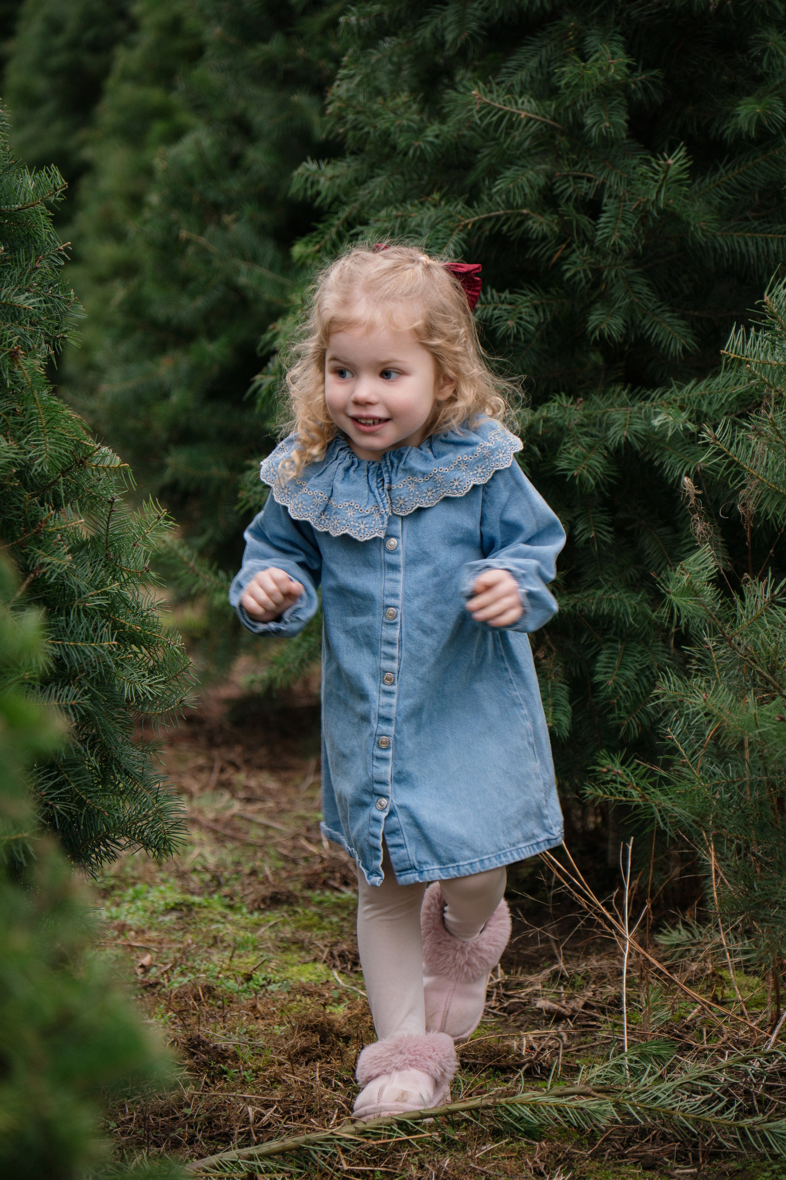 Christmas sessions. Photographer in Washington Sophia D