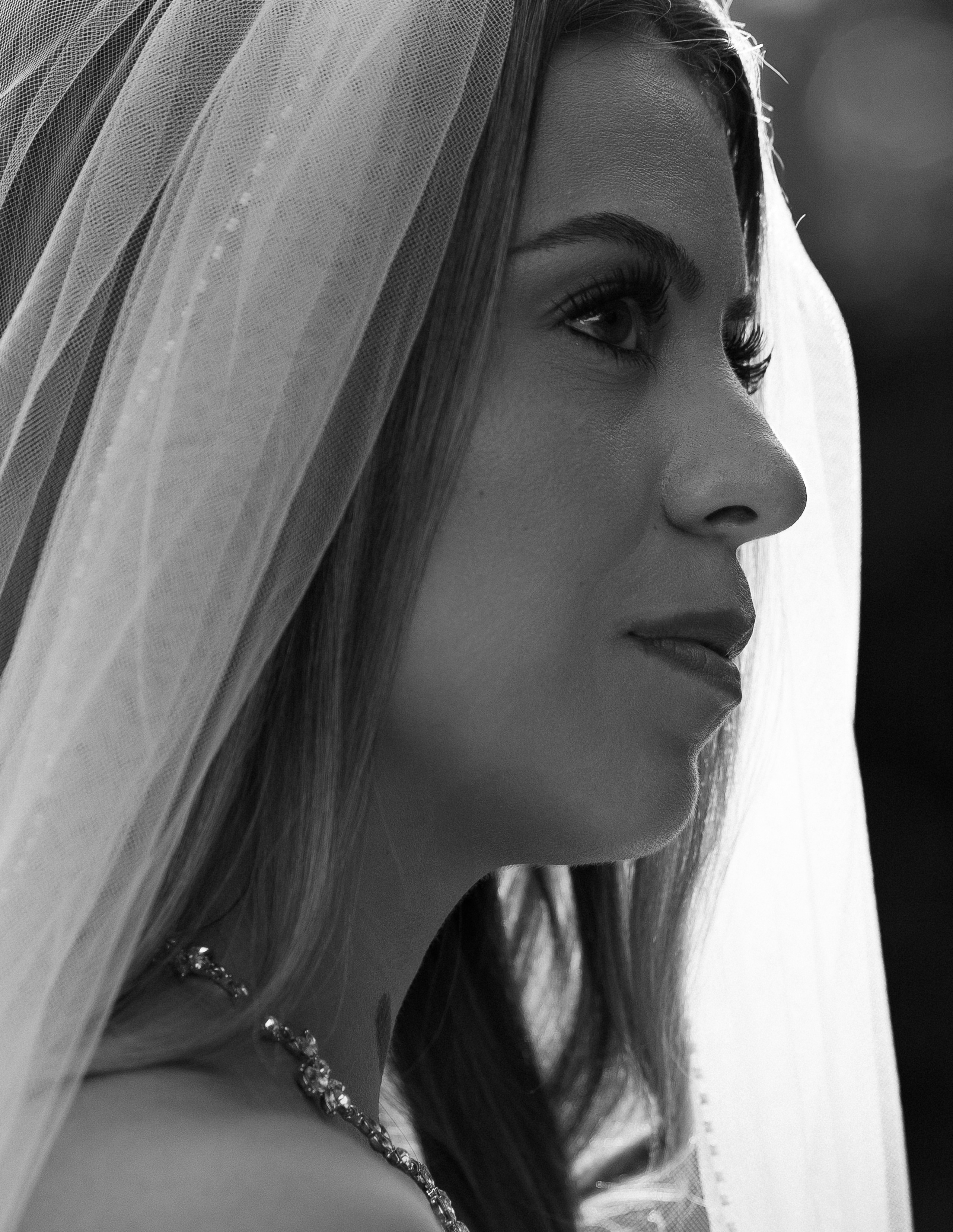 Nina and Arjun. Intimate Elopement in Washington DC. Photographer Anastasia Nagibina