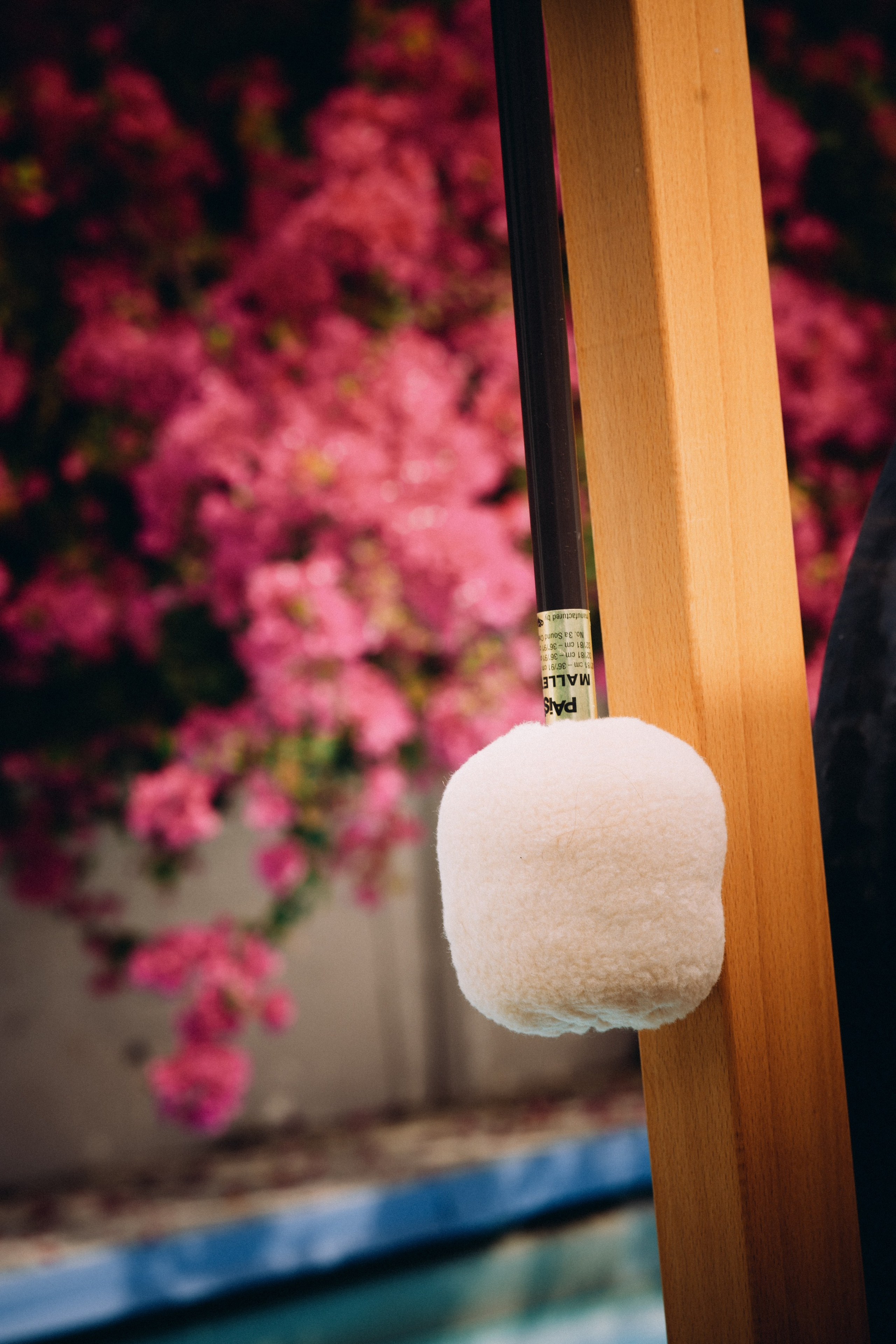 Yoga. Elena Pretzner Photography